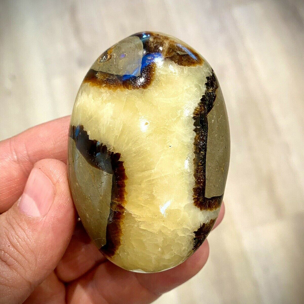 Septarian Crystal Dragon Stone Healing Crystals Yoga Reiki Meditation Minerals