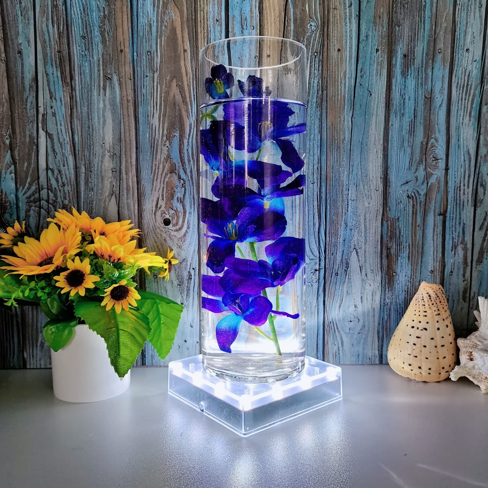 Light Base 5 Inch Square Pedestal Display Stand