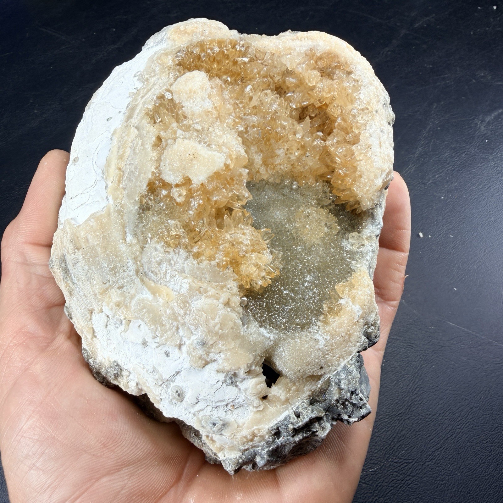 Golden Calcite Crystal Fossil Clam Shell Rucks Pit Florida *Video*
