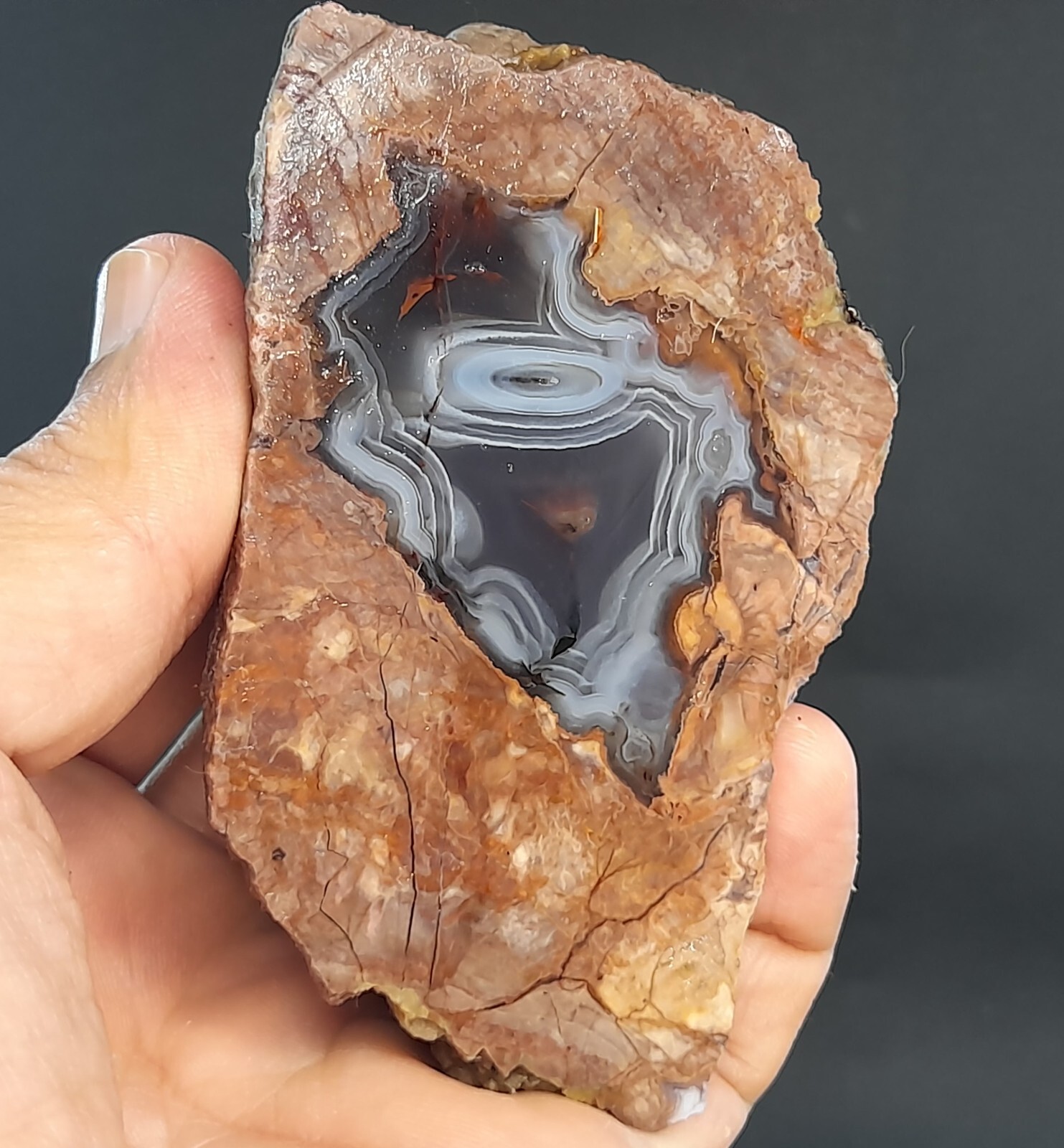 455g/1.00 lb turkish banded thunderegg agate stone, customs duty included