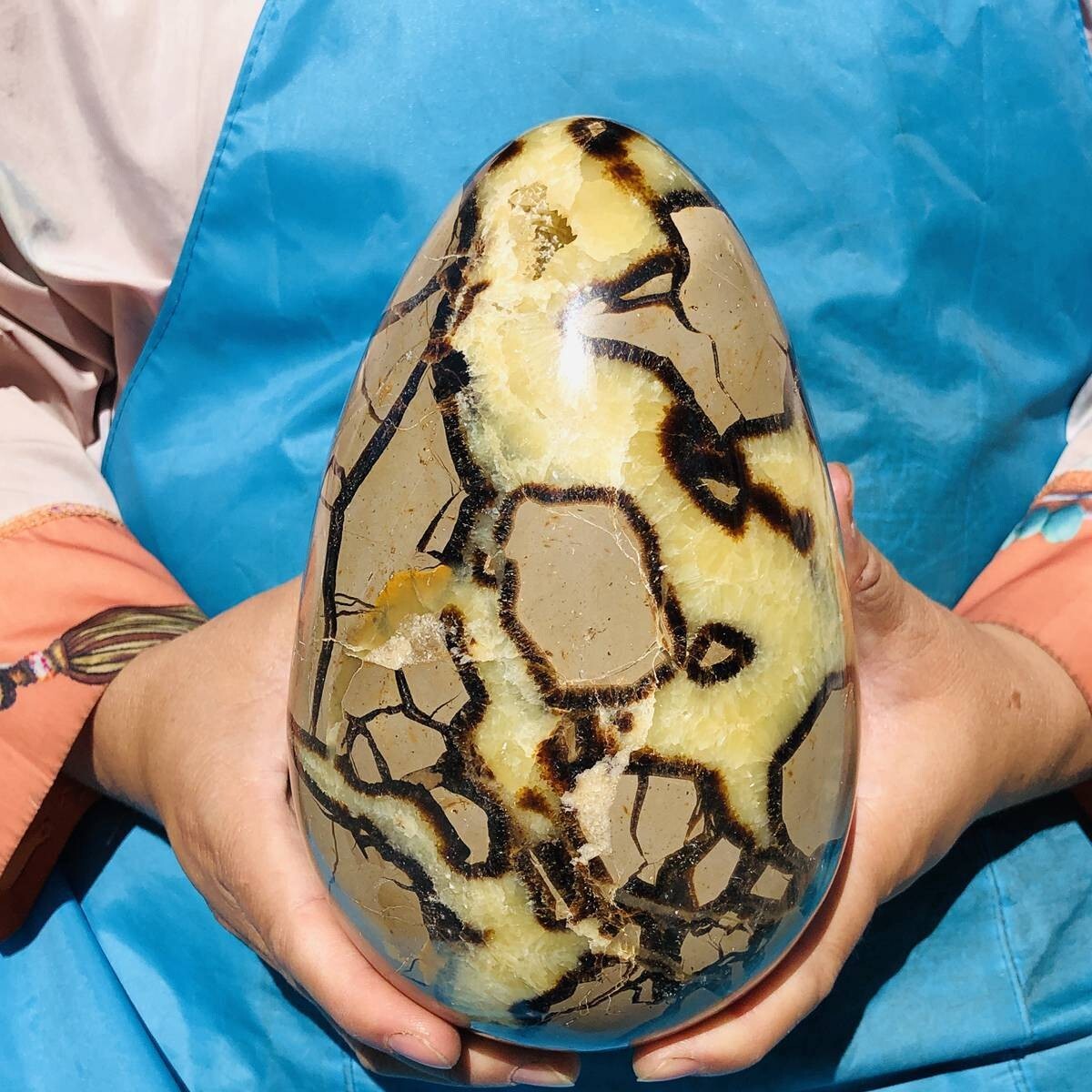 3390G natural turtle shell stone egg spiritual healing KH2124