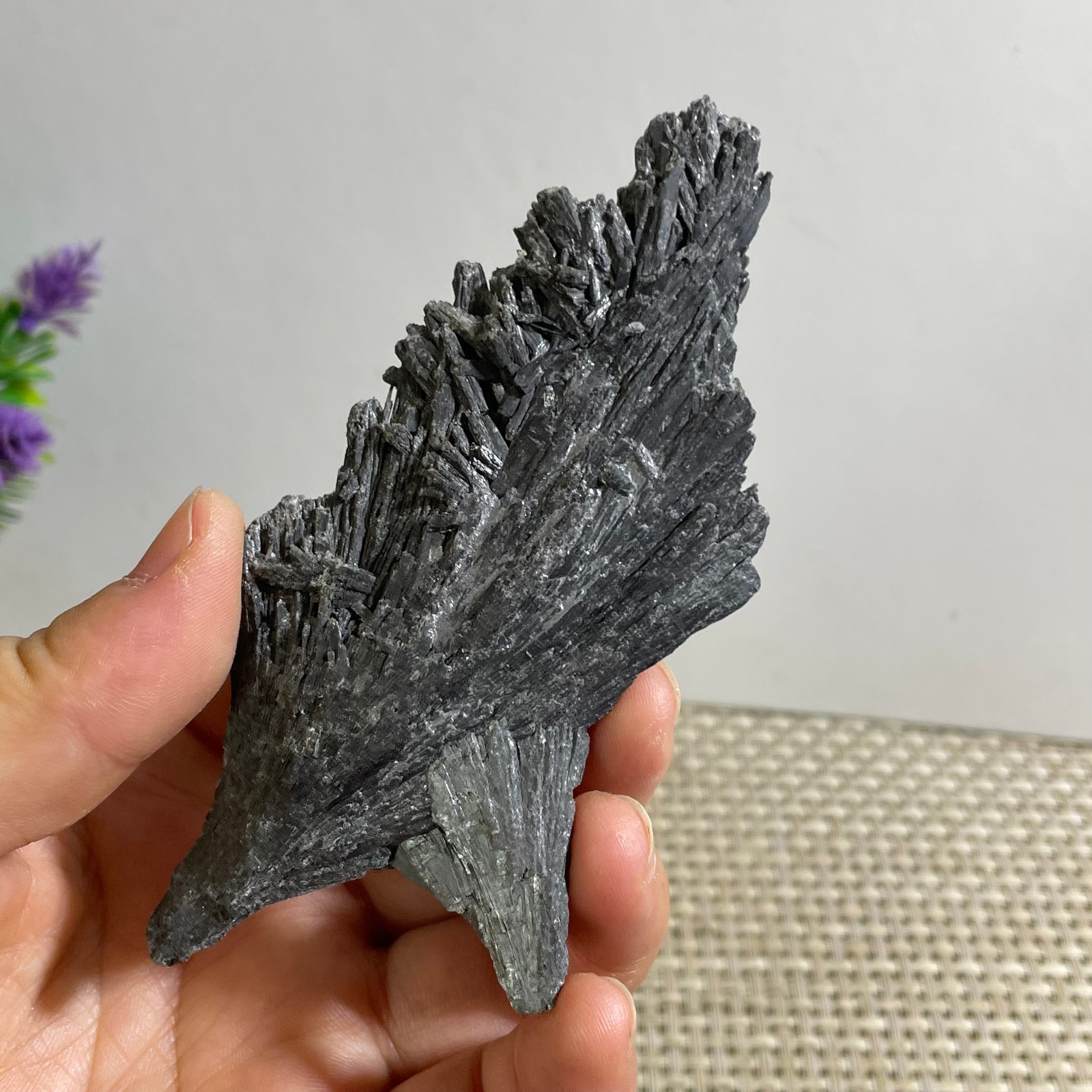 61g Black Kyanite Blades Fans Premium Quality Mineral Specimen rough