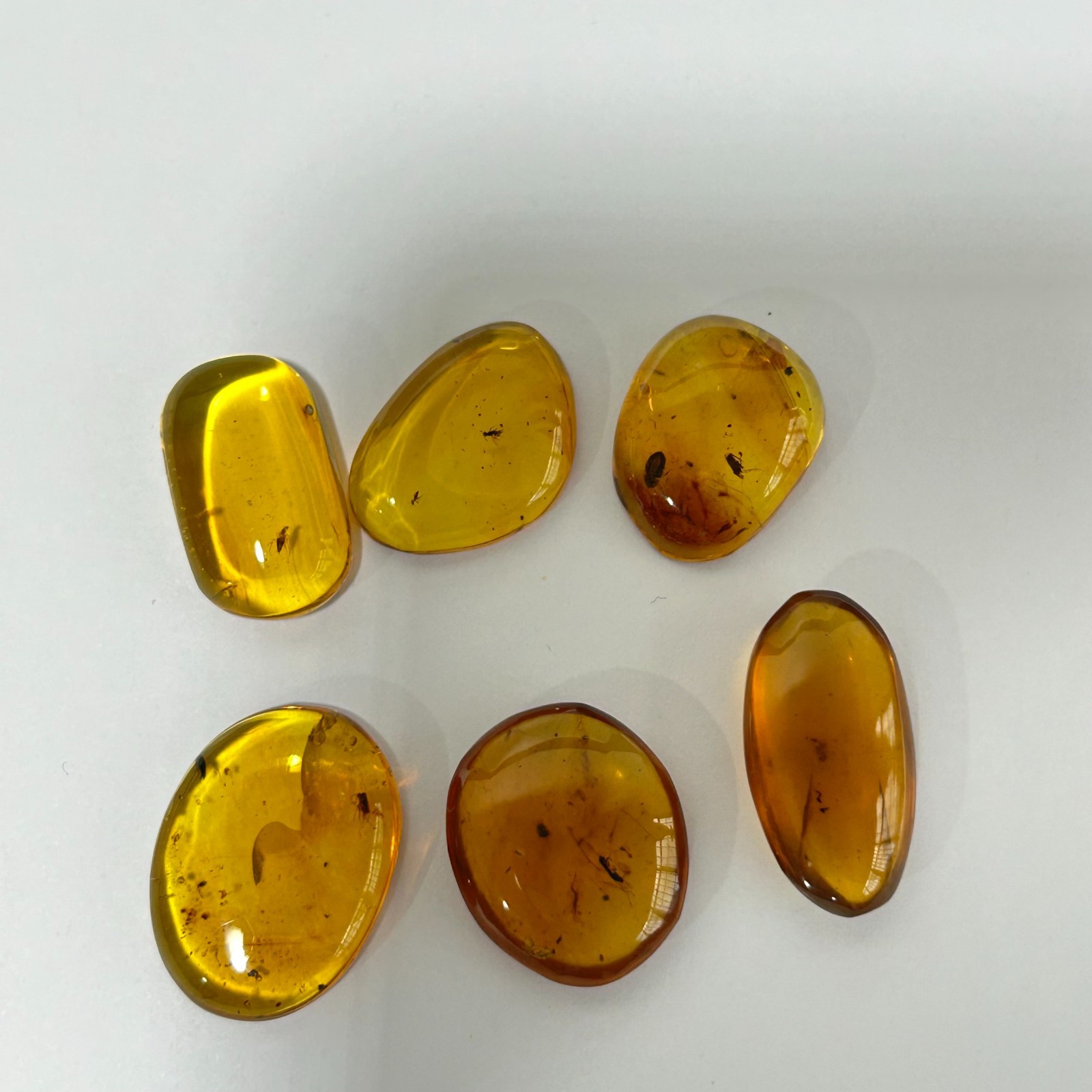 6PCS MINI GENUINE Fossil Insect Inclusion in Burmese amber BALTIC AMBER