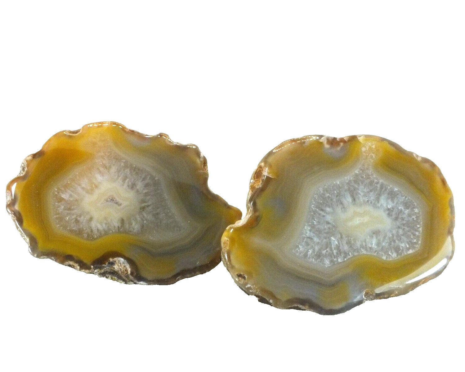 Agate Nodule, polished halves Pair Agate Creek Queensland Australia (EA9586)