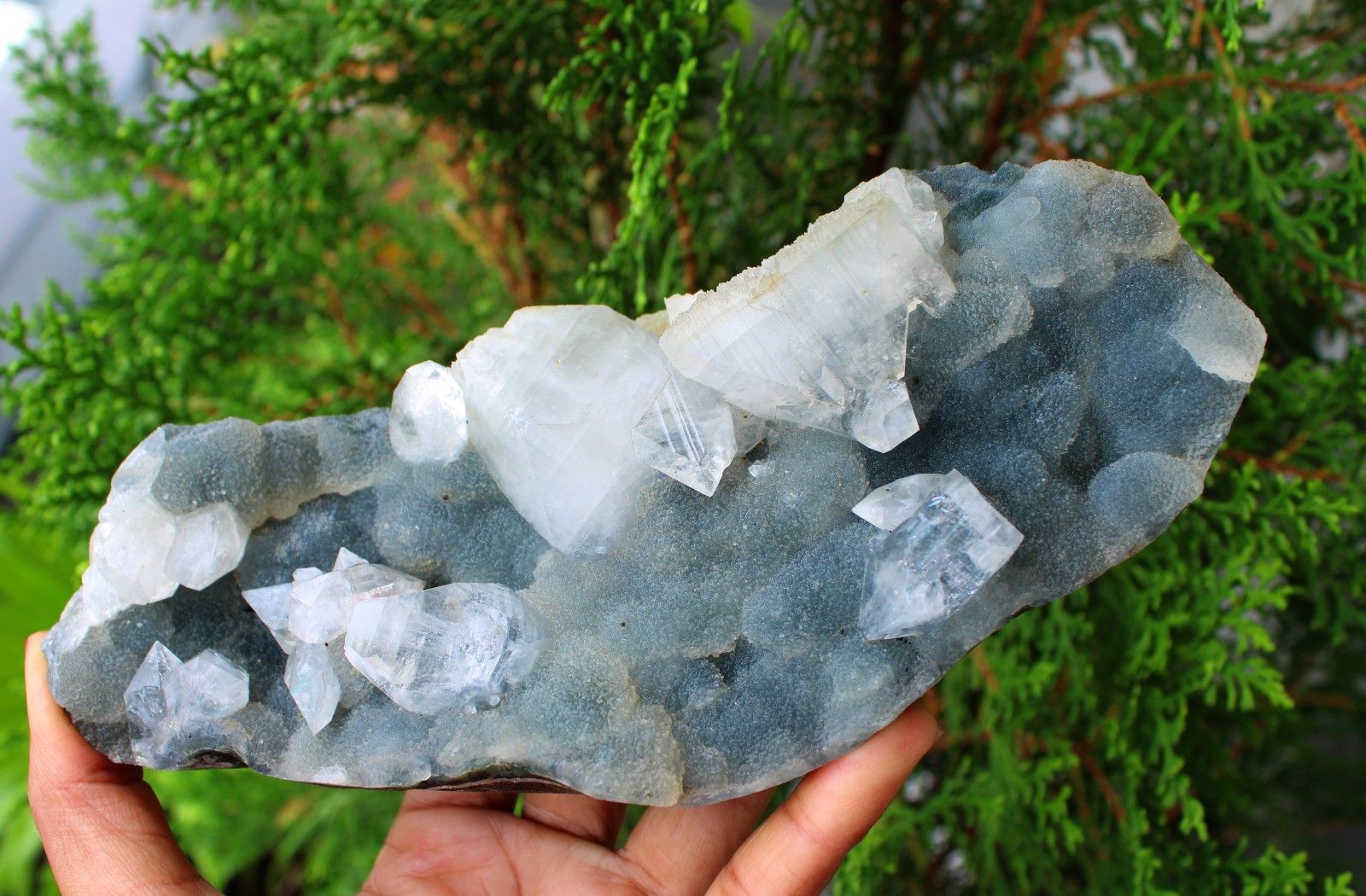 Apophyllite Crystal On Chalcedony Coral Matrix Natural Mineral Specimen #M84