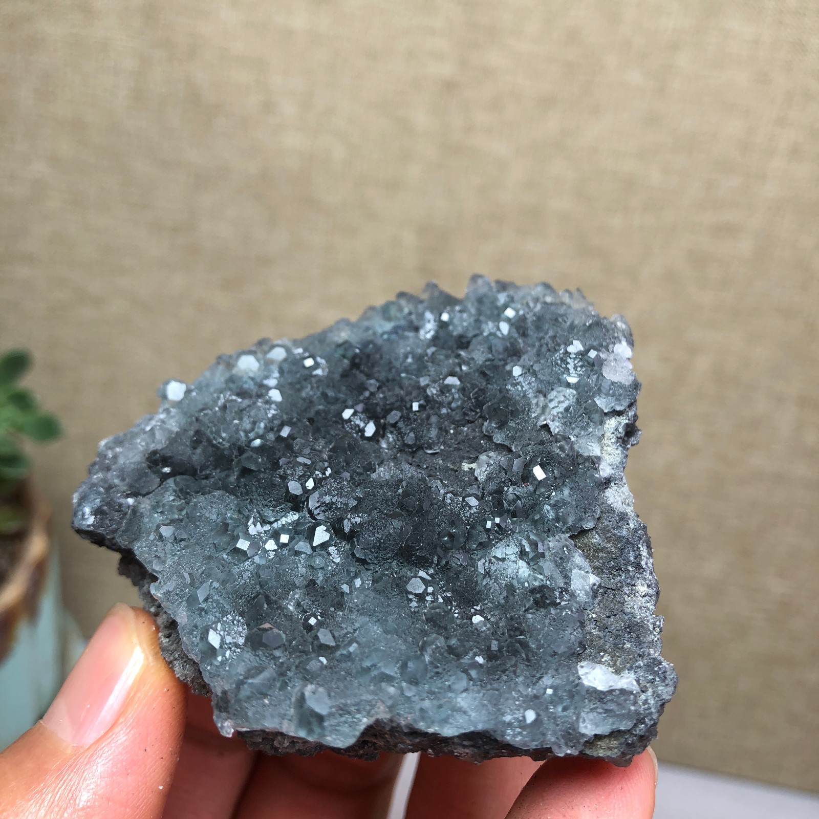 97g NATURAL Green Cubic FLUORITE Crystal Cluster Mineral Specimen A4736