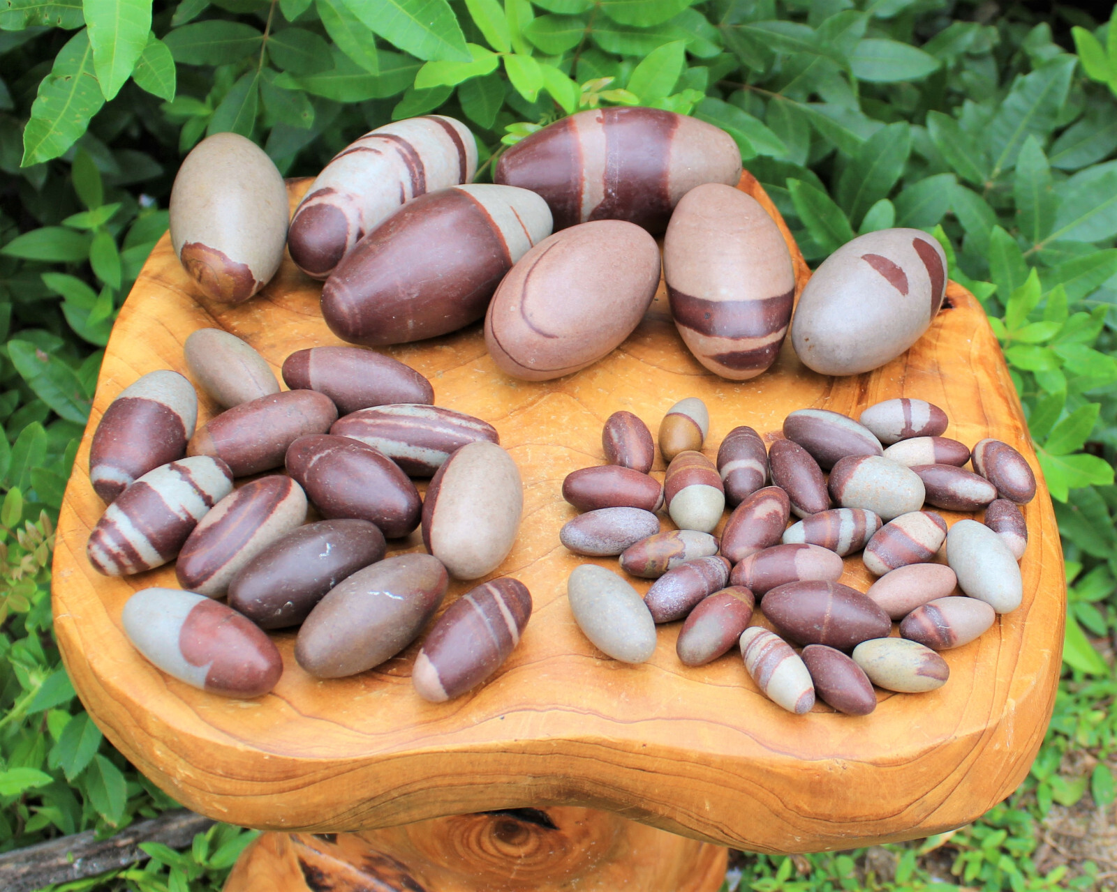 One Shiva Lingam Stone, Small 1″ – 1.25″ size (Healing Crystals, Shiva Lingham)