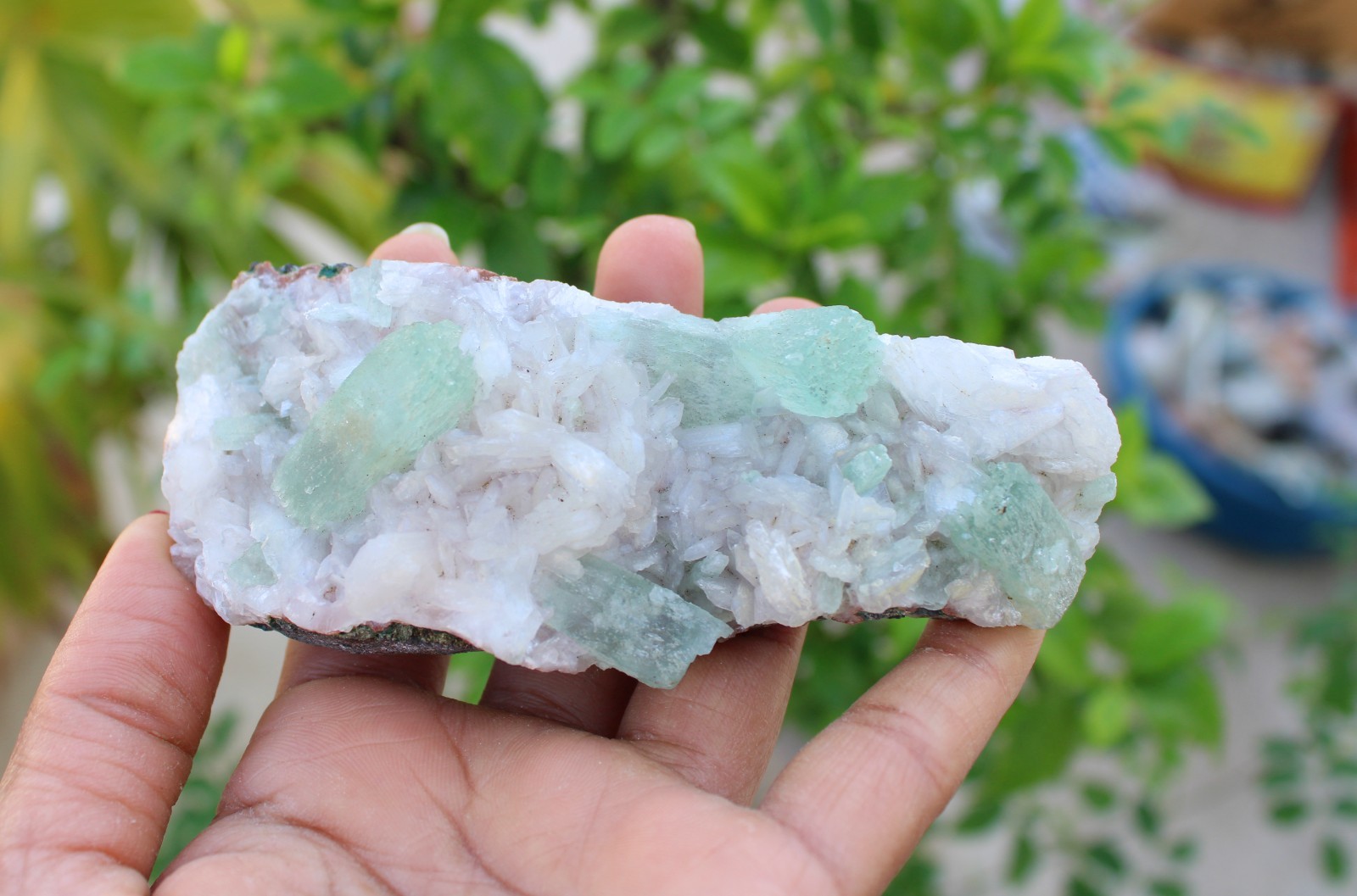 Green Apophyllite Crystals w/ Stilbite On Matrix Minerals Specimen #A46