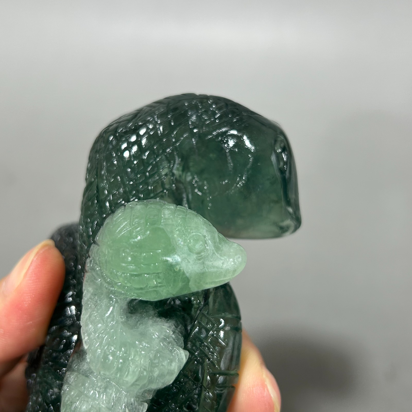 1.5LB Natural fluorite skull quartz hand carved snake crystal skull healing D221