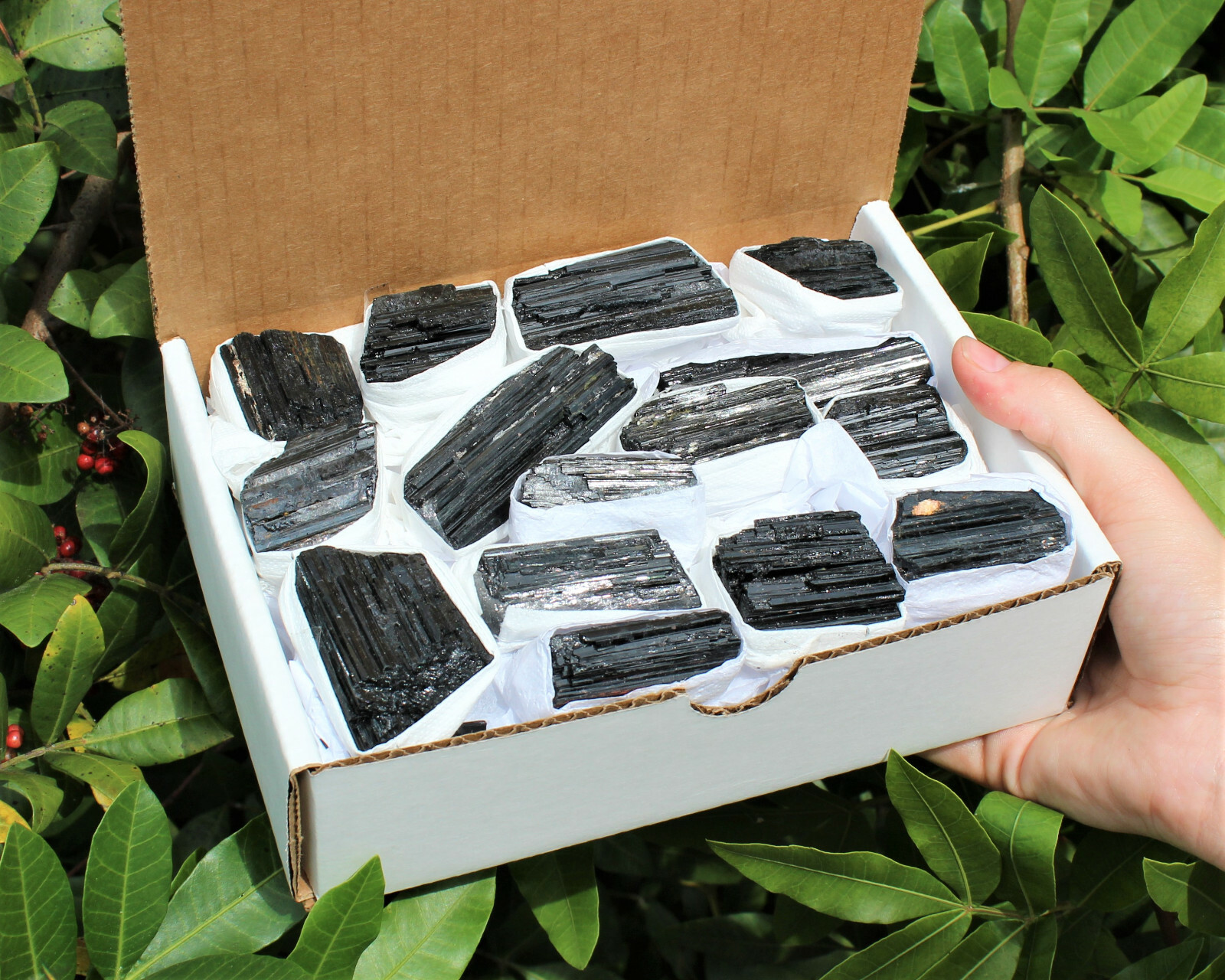 Bulk Extra Grade Shiny Natural Rough Black Tourmaline Rod Log Box 14 – 18 Piece
