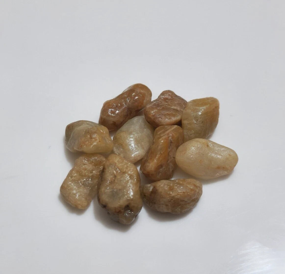 A+ Beautiful Fine African Sapphire Rough 10 Pcs Lot Size 15-17 MM Loose Gemstone