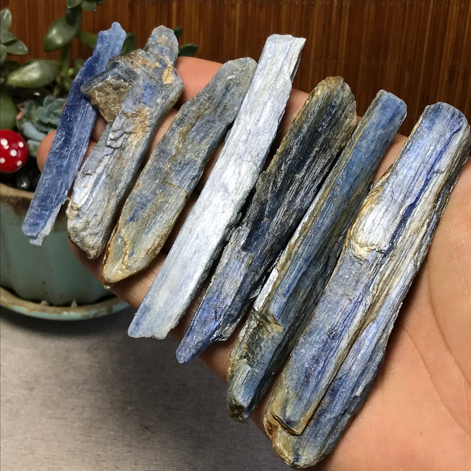 7Pcs NATURAL Blue Kyanite gemstone crystal rough mineral Specimen 155g A6924