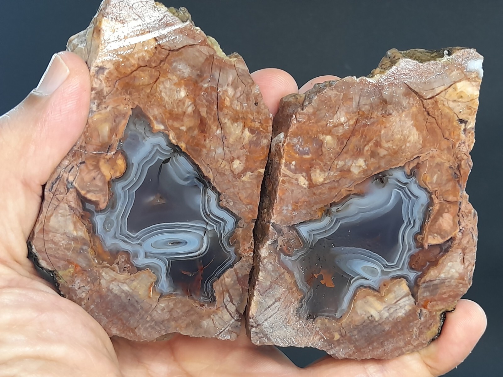455g/1.00 lb turkish banded thunderegg agate stone, customs duty included