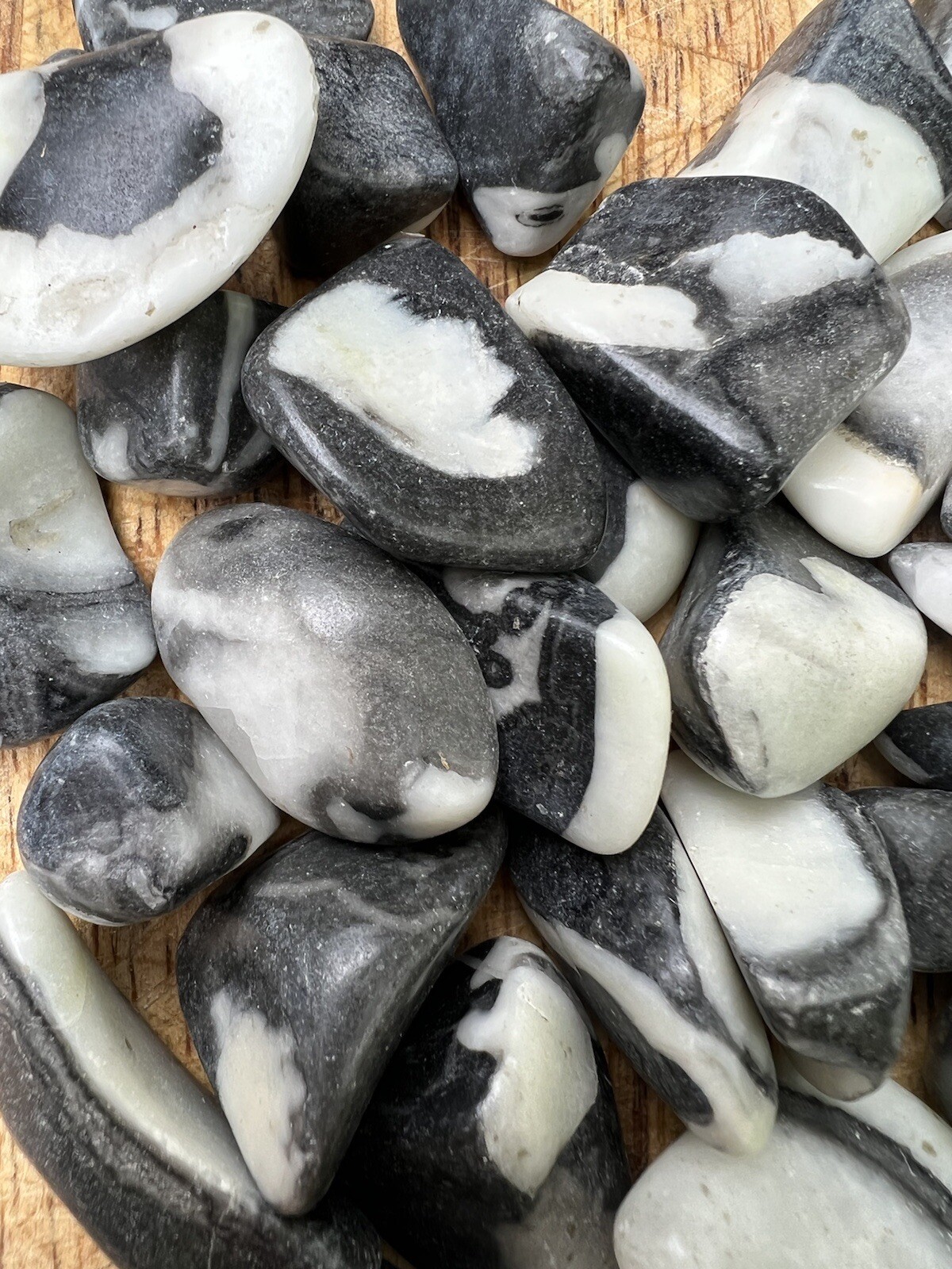 Shell Jasper Tumblestone 20/30mm