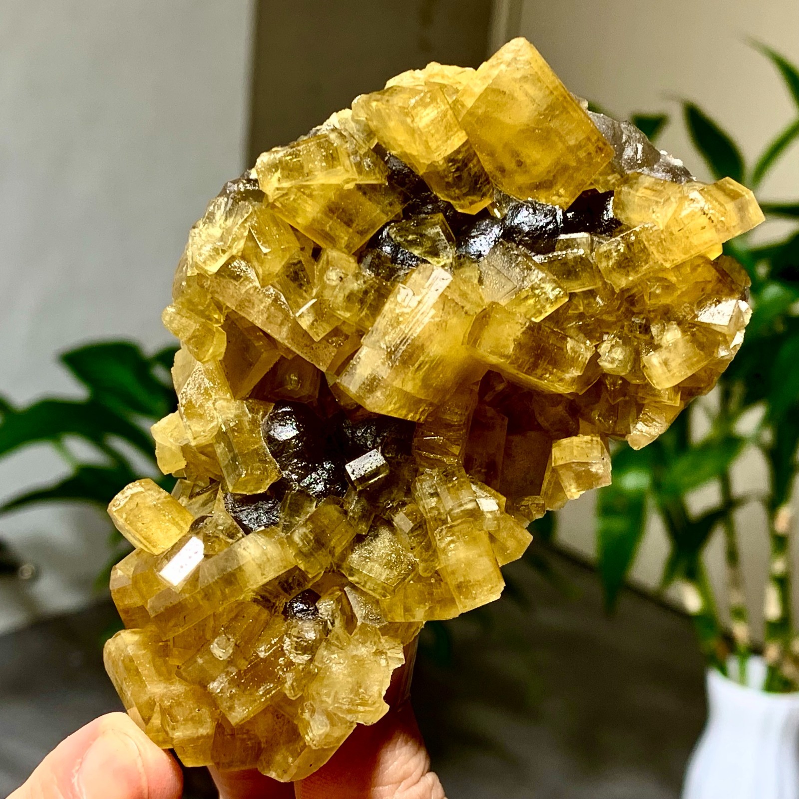 300G Shiny Golden Cuboid Barite Crystal Based on the Purple Spherical Fluorite