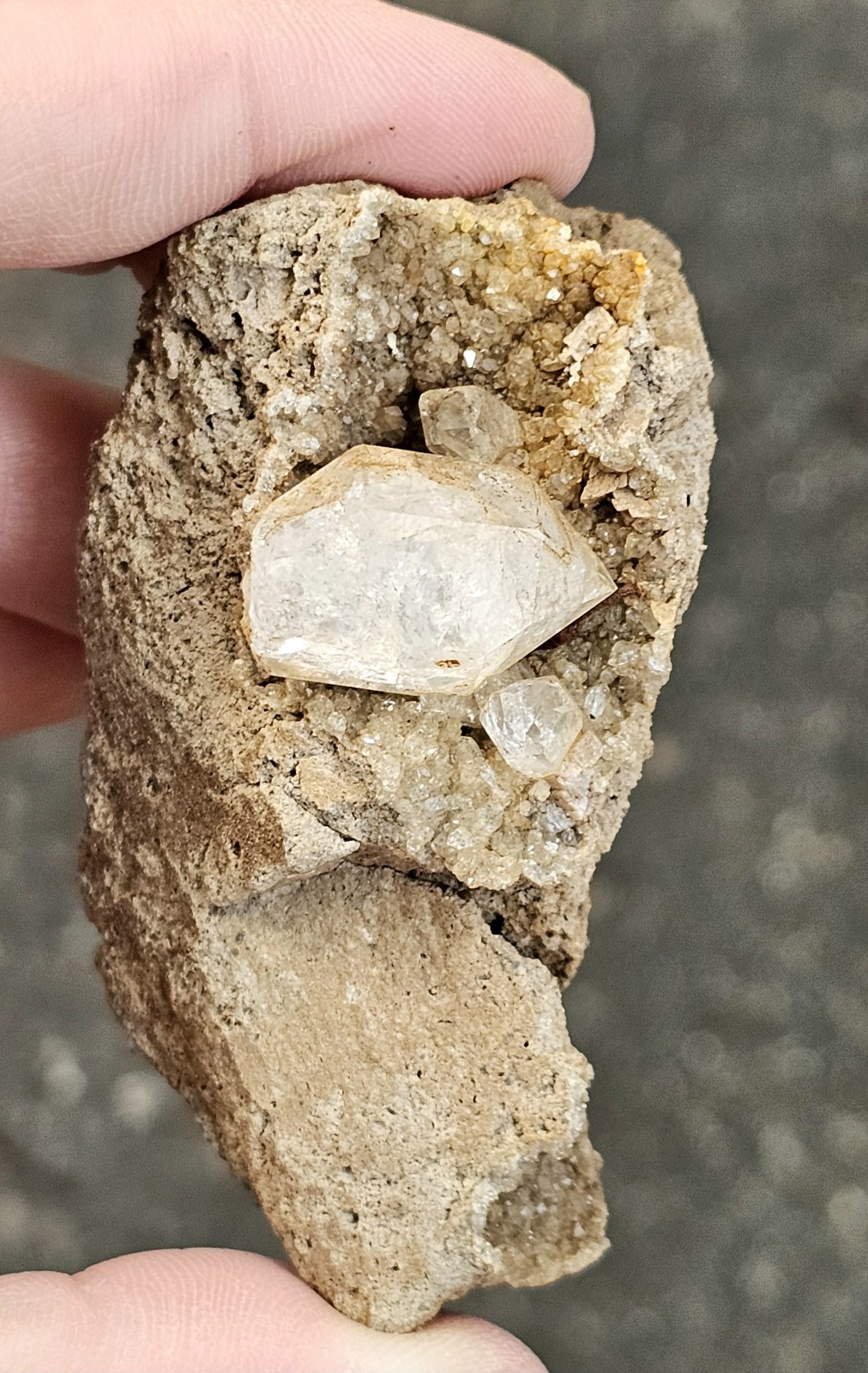Large Multi Crystal Herkimer Diamond Display Specimen in Druzy Vug HR140