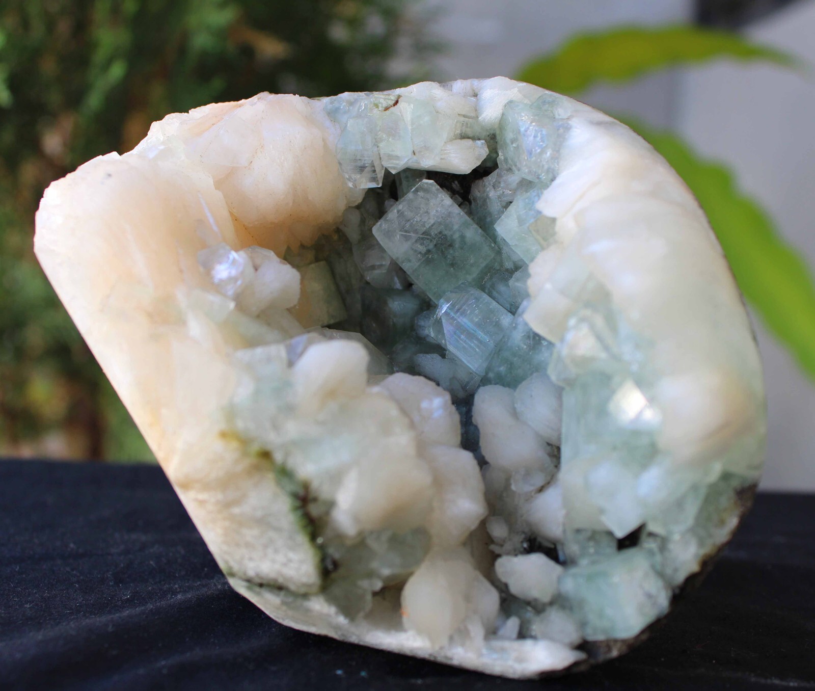 Green Apophyllite Crystals w/ Stilbite In Geode Minerals Specimen ( 15×11 Cm’s )