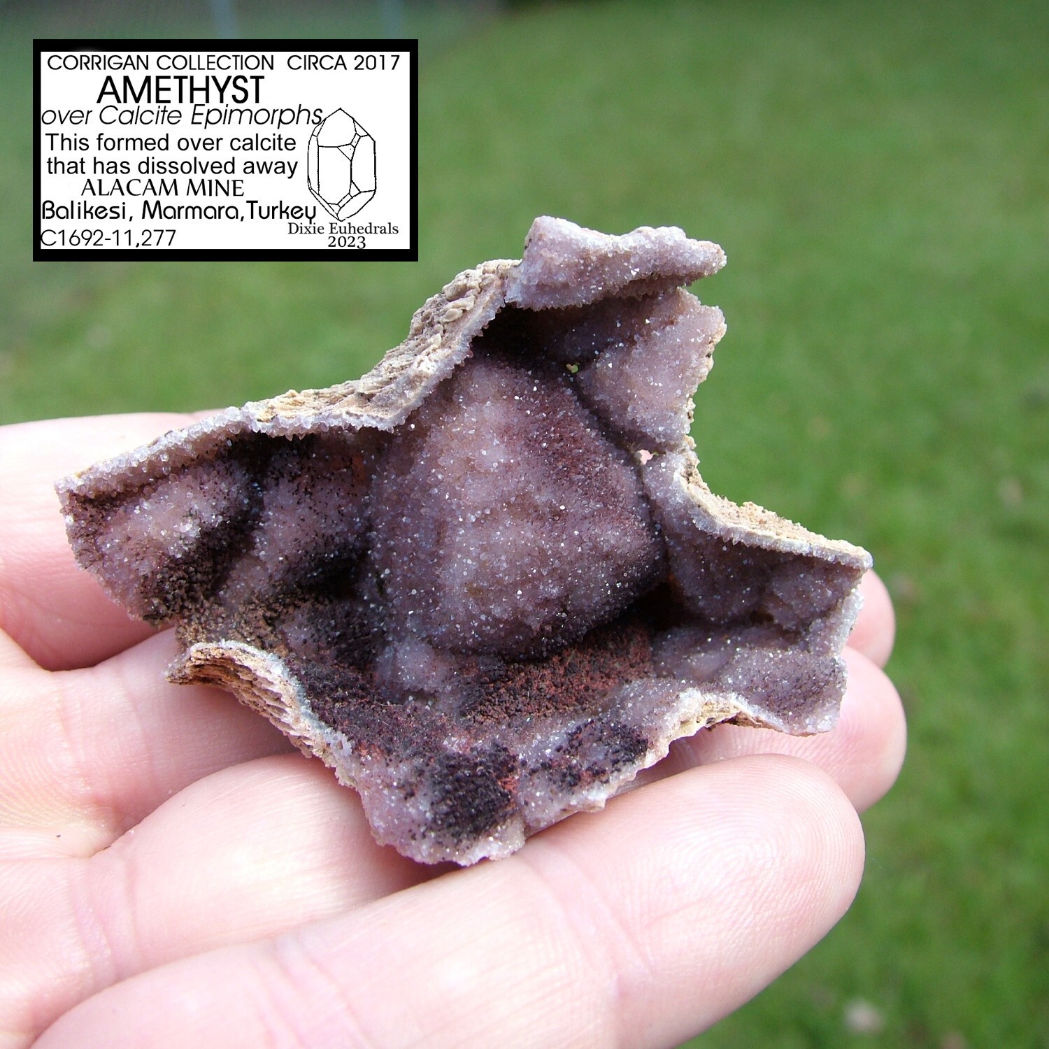 AMETHYST CRYSTAL DRUSE EPIMORPH AFTER CALCITE ALACAM MINE TURKEY DRUSY