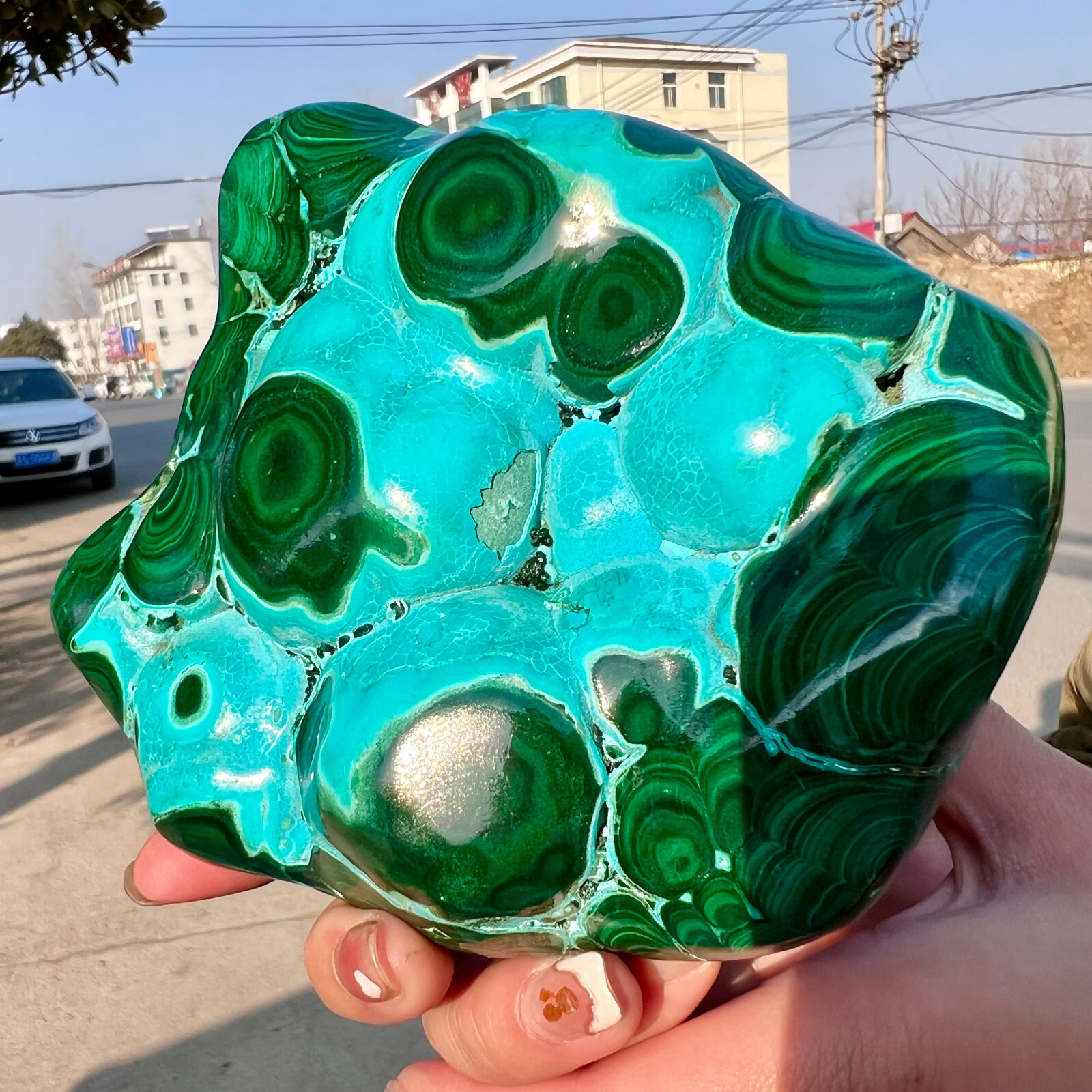3.03LB Natural tortoise Malachite transparent cluster rough mineral sample