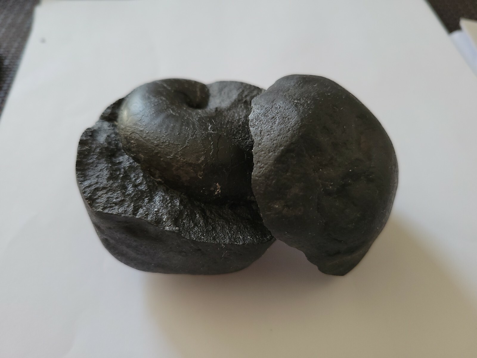 Shaligram Stone (ammonite)