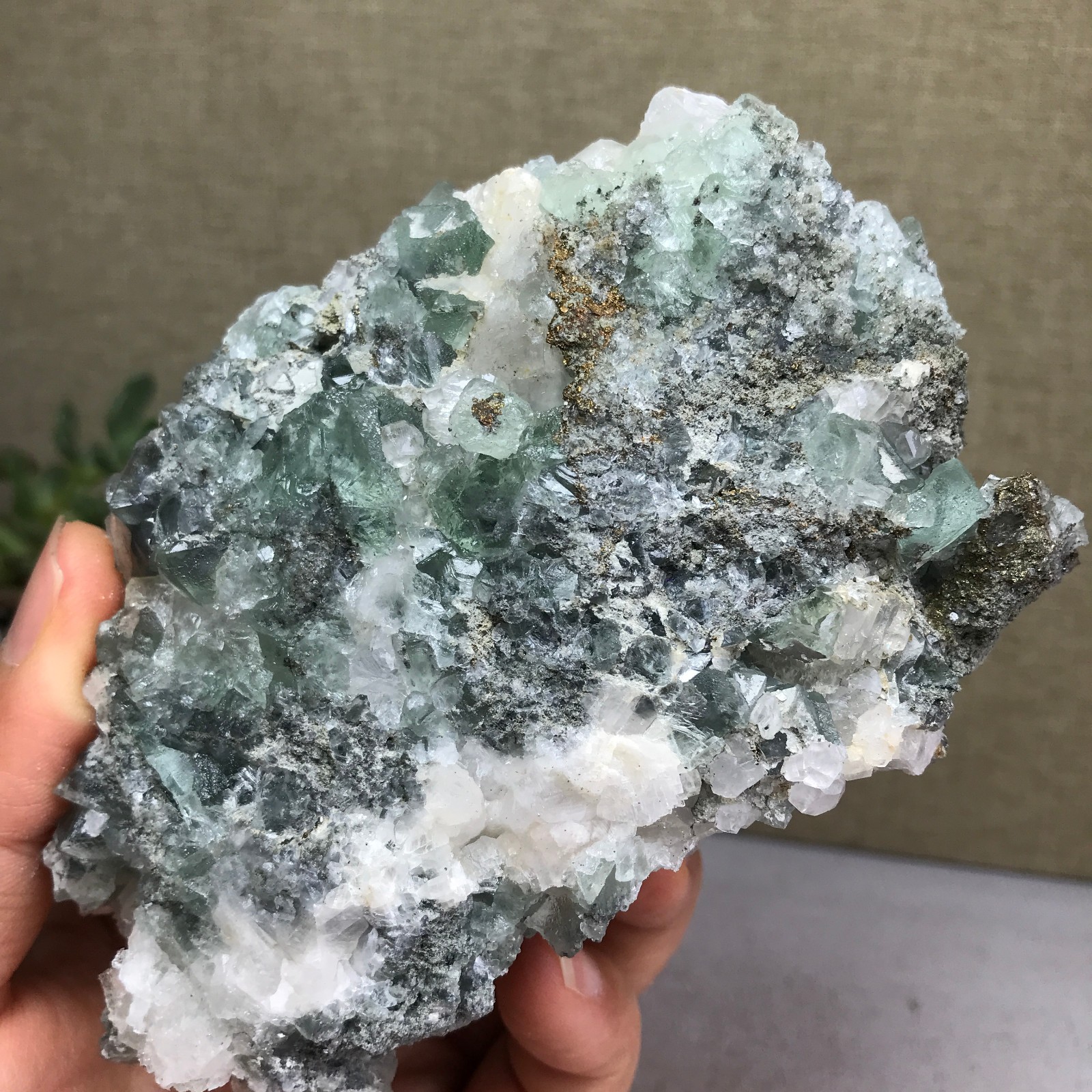 423g NATURAL Green Cubic FLUORITE paragenesis Crystal Cluster Specimen A4779