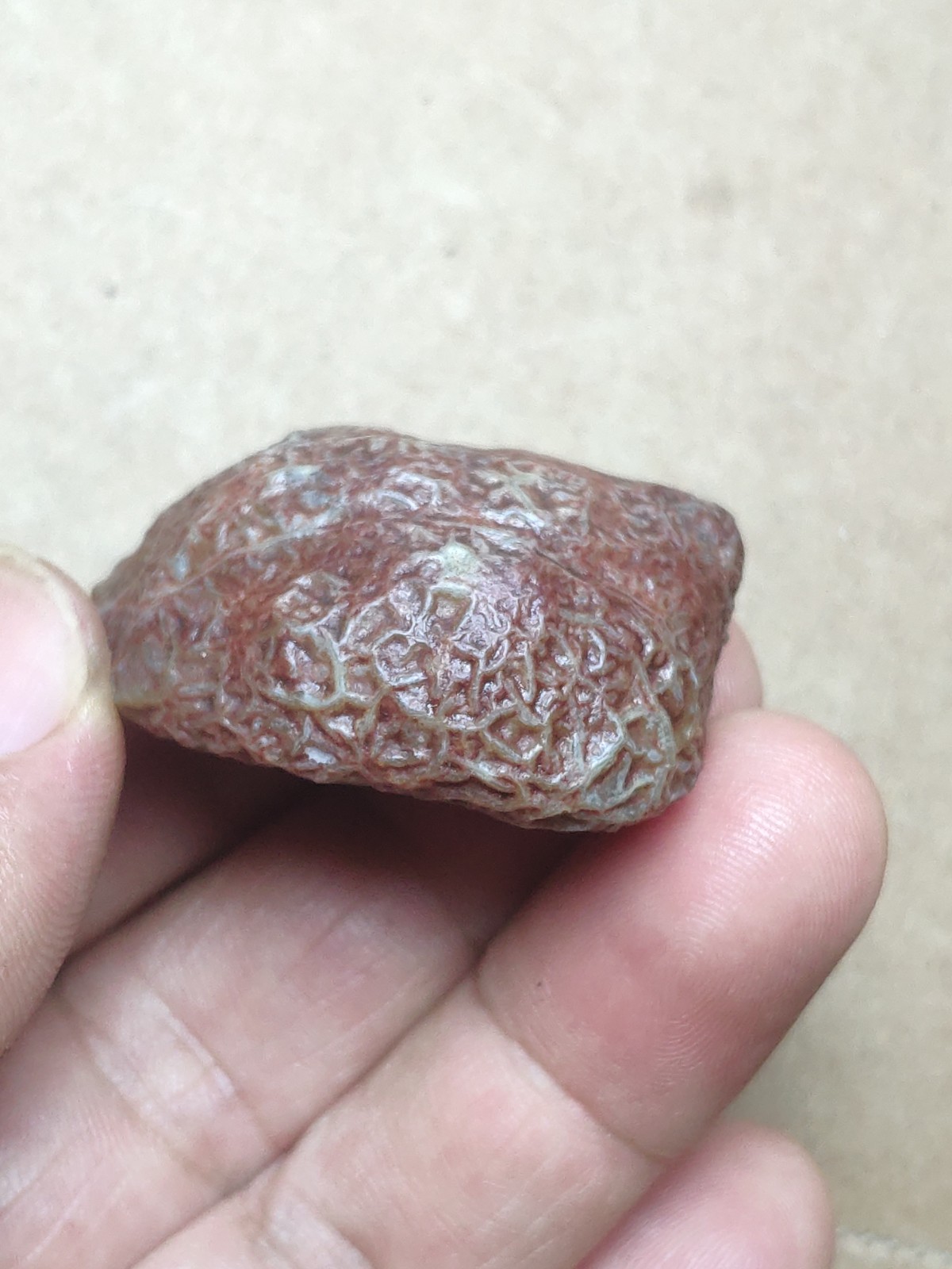 38mm Beautiful Natural GoBi agate vein agate collection