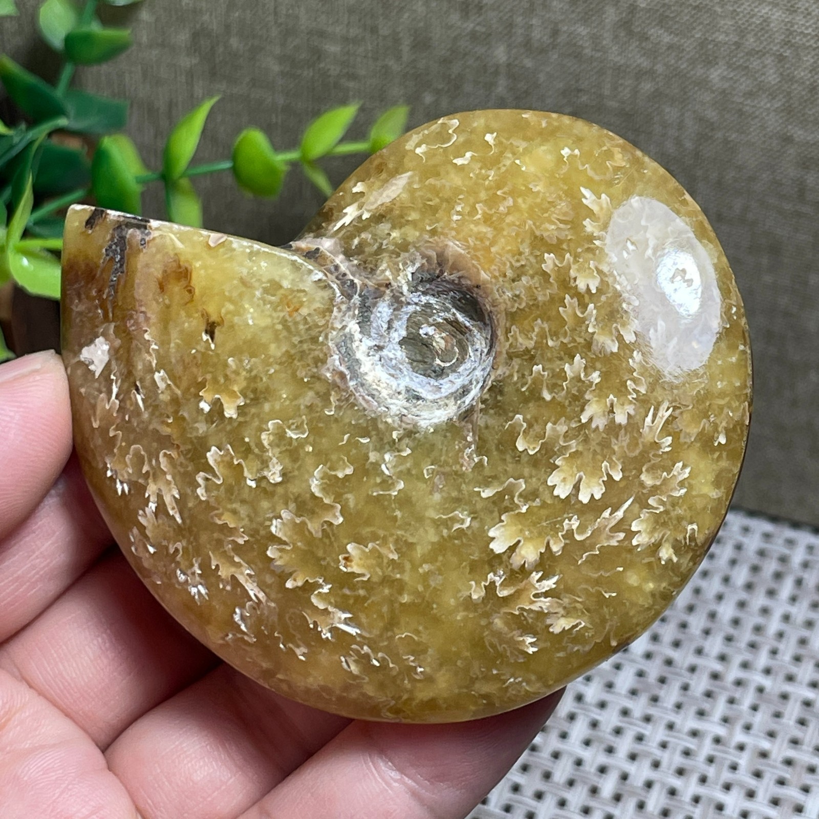 Madagascar Polishing Pretty Pattern Stone sculptor decoration 112g
