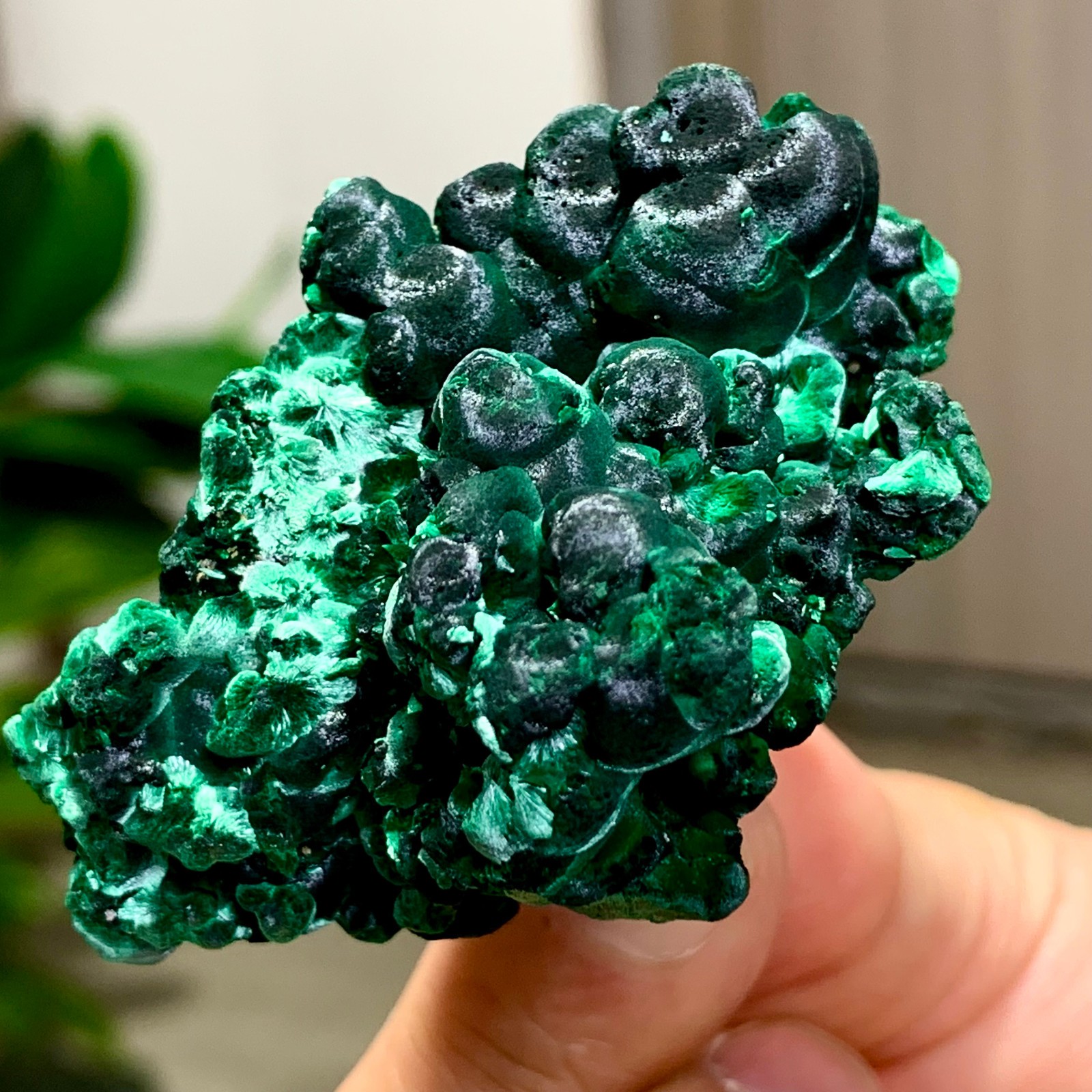 81G Natural glossy malachite cat eye transparent cluster rough mineral Sample