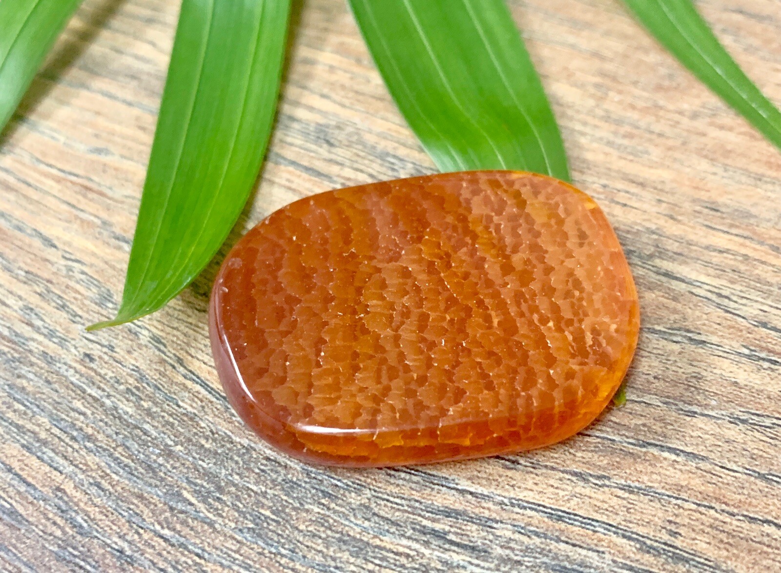Fire Agate Palm Stone Soap Stone Flat Therapy Meditation Specimen Reiki Chakra