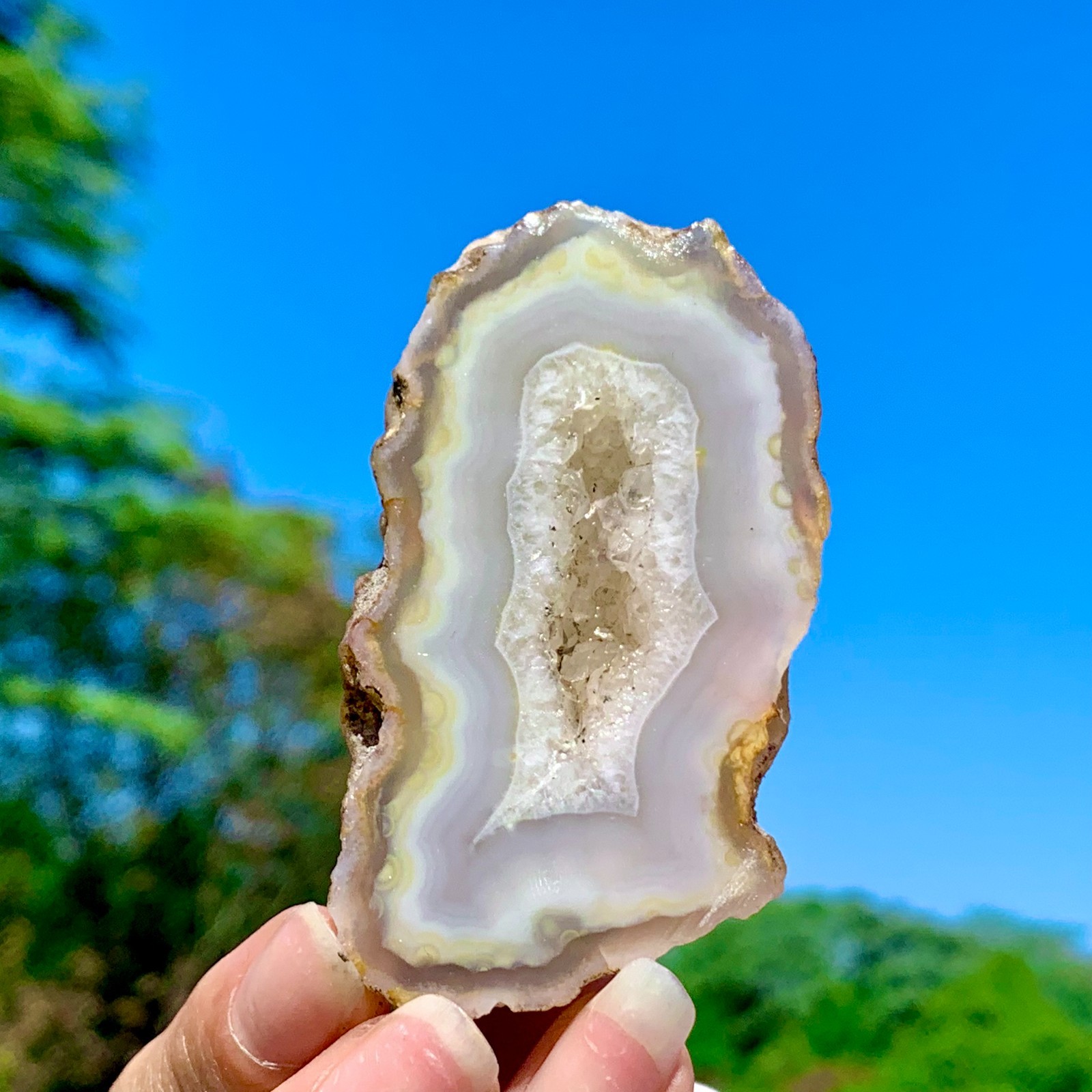 64G AAA Grade Natural Beautiful Yellow Agate Geode Druzy Slice Extra Large Gem