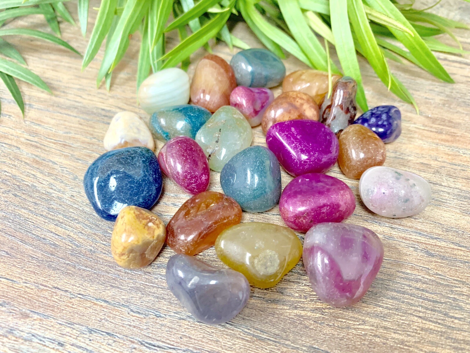 1/2 lb Multi Color Agate Tumbled Stones Mixed Crystal Therapy Gemstone Specimen