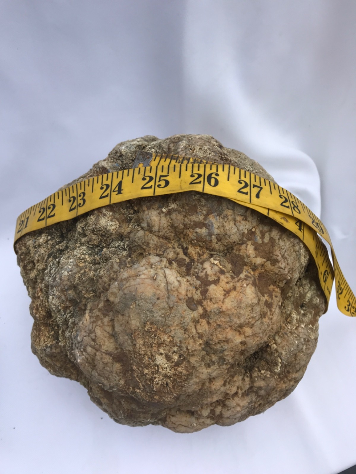 Rare Kentucky Geode Rattler 23.36 lb Unopened Natural Quartz Crack Your Own