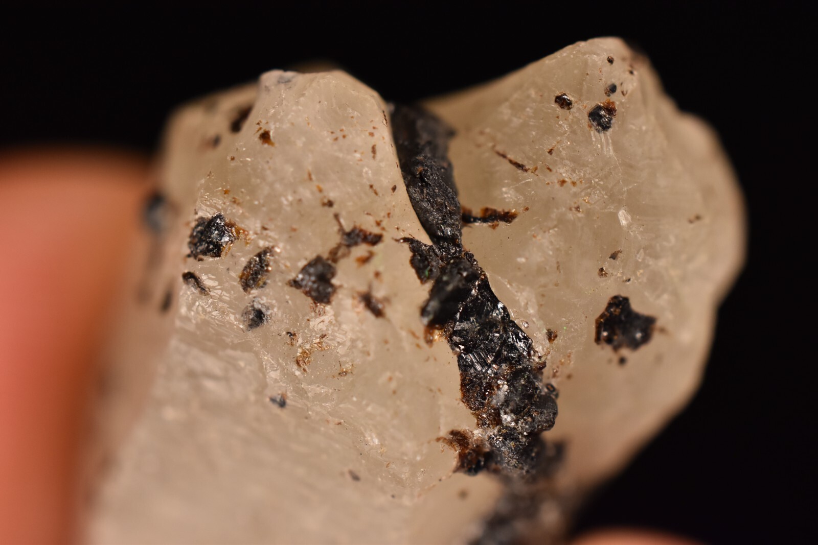 *AUSTRALIAN* CASSITERITE In QUARTZ 2.8cm 7.1g Natural Crystal Tin Yankee Lodes