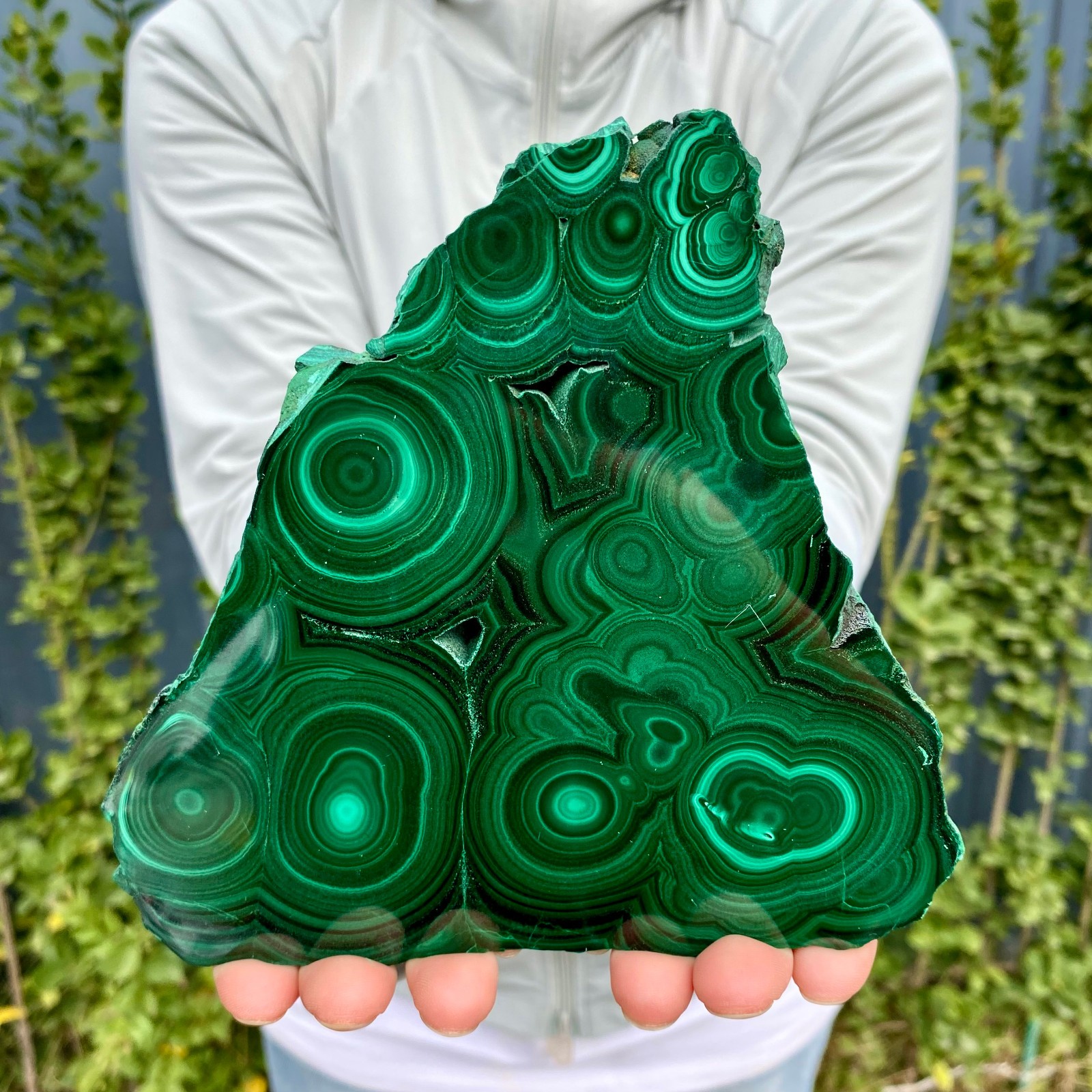 1.41LB Natural malachite slice quartz crystal luster mineral specimen