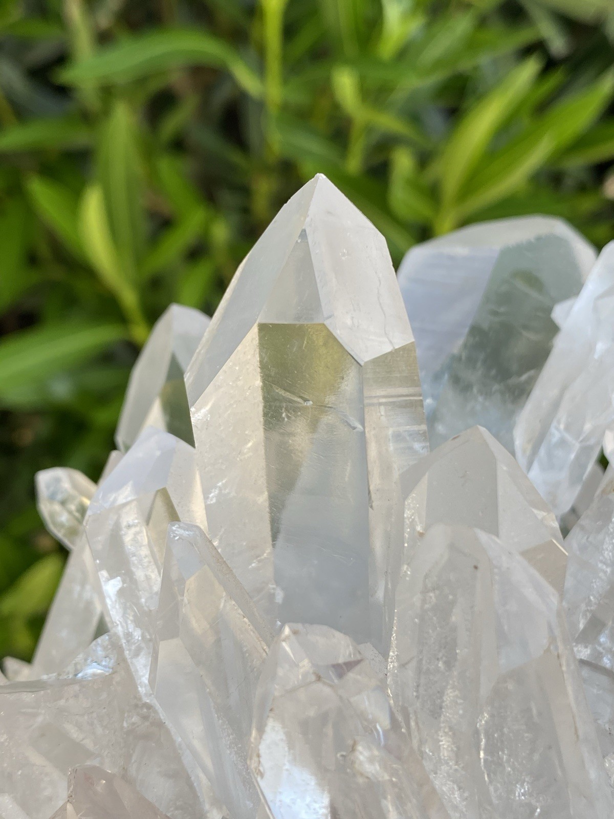 3 Lb 13.6 Oz Clear Quartz Crystal Cluster , Brazil Minerals