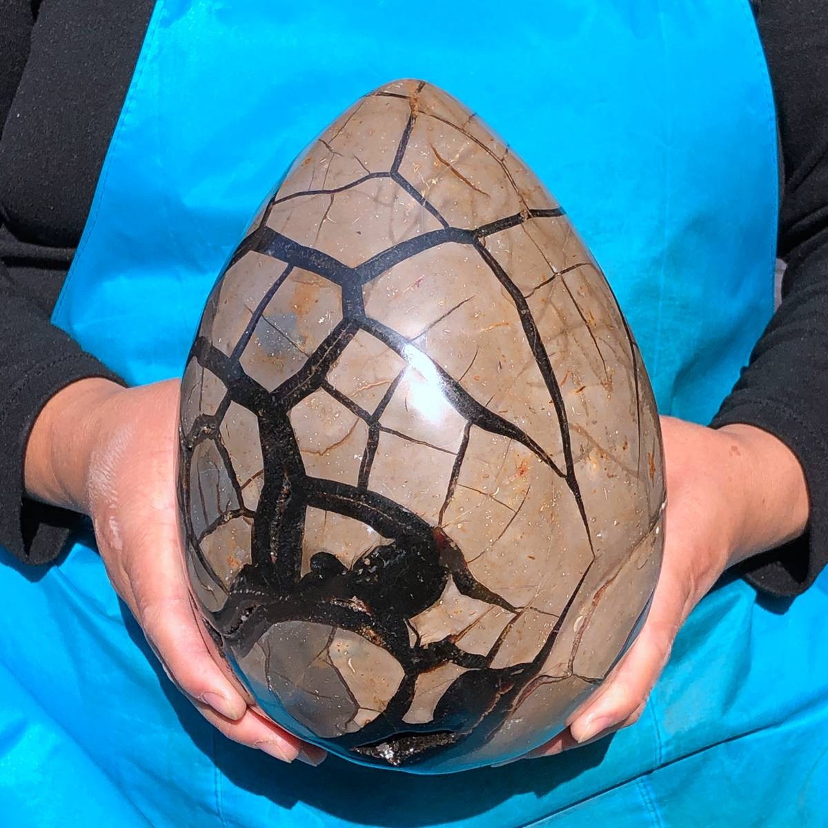 13.66LB Natural Turtle Back Stone Cave Shape Dragon Crystal Crack Gem Healing
