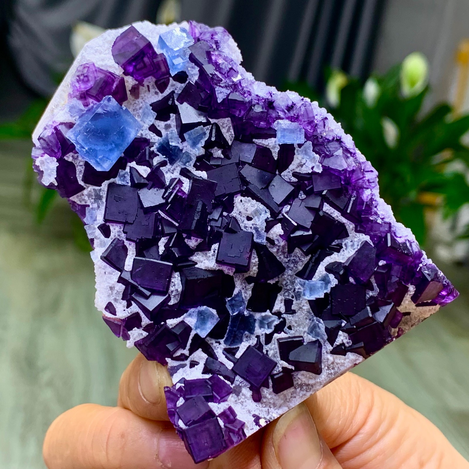 209G Rare blue purple dual color window frame fluorite mineral crystal/Zhejiang