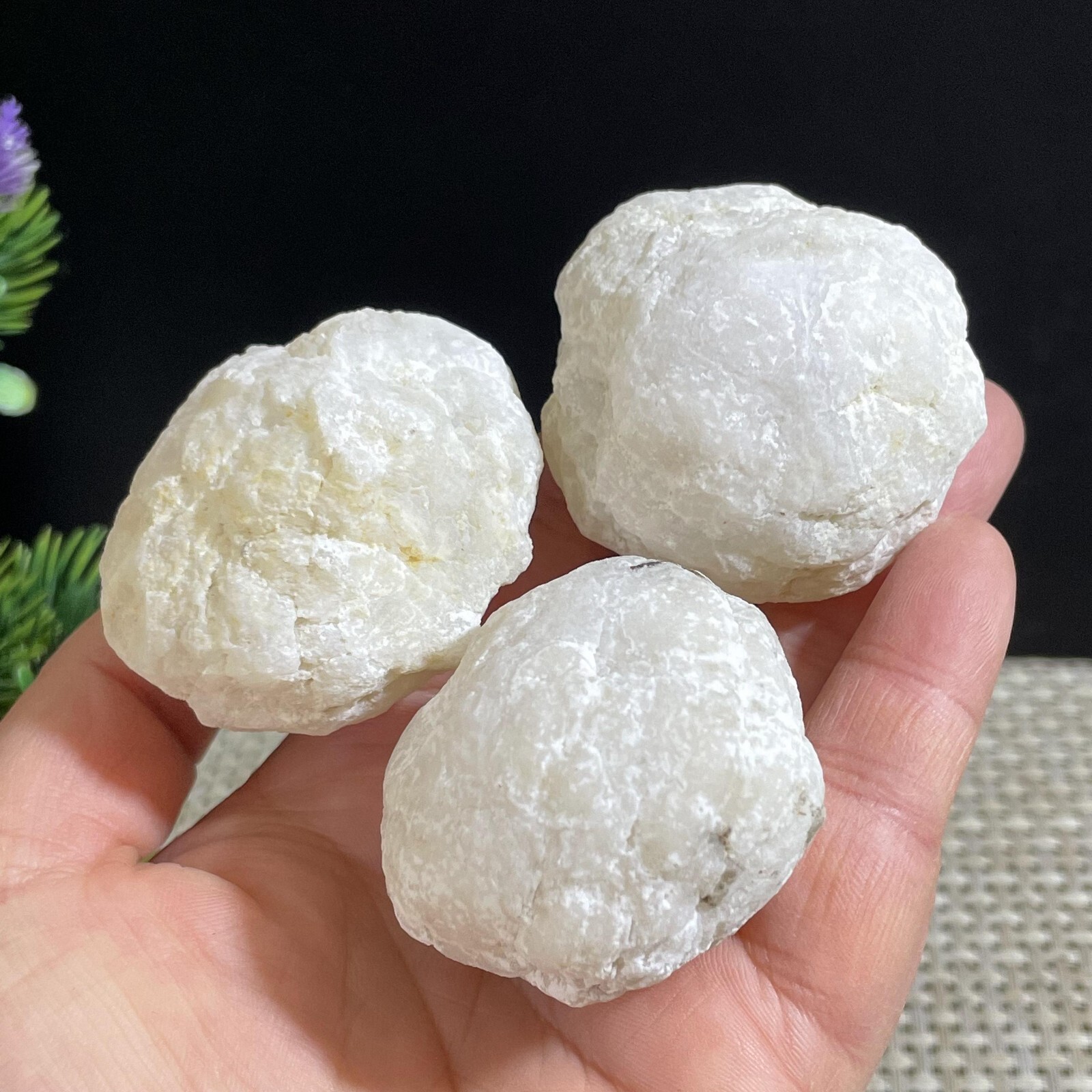 3pc 177g Quartz Geode Unopened Break Your Own Natural ab284