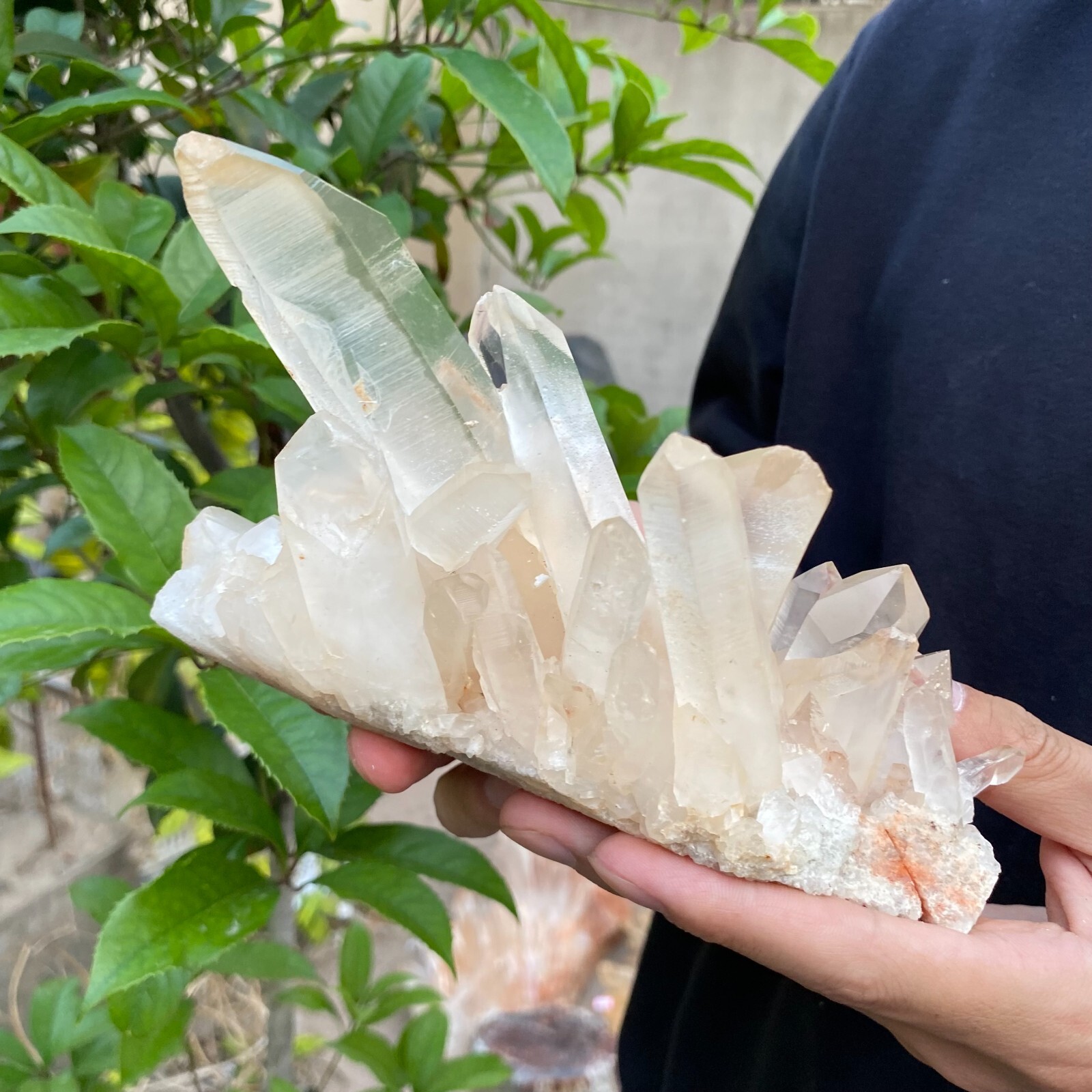 2lb Natural Clear White quart Crystal Cluster Raw Healing Specimen