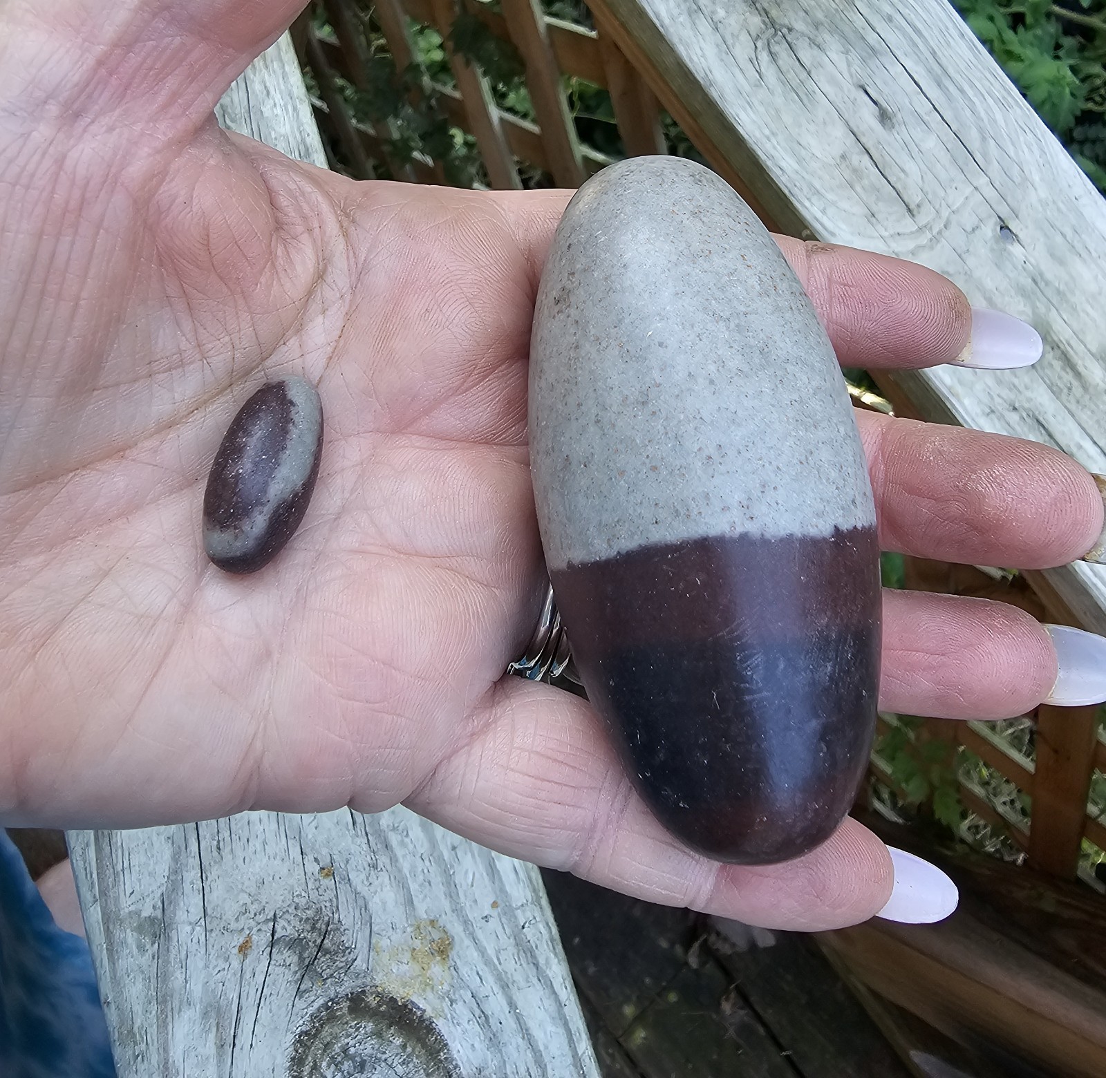 SHIVA LINGAM STONE with a bonus small stone
