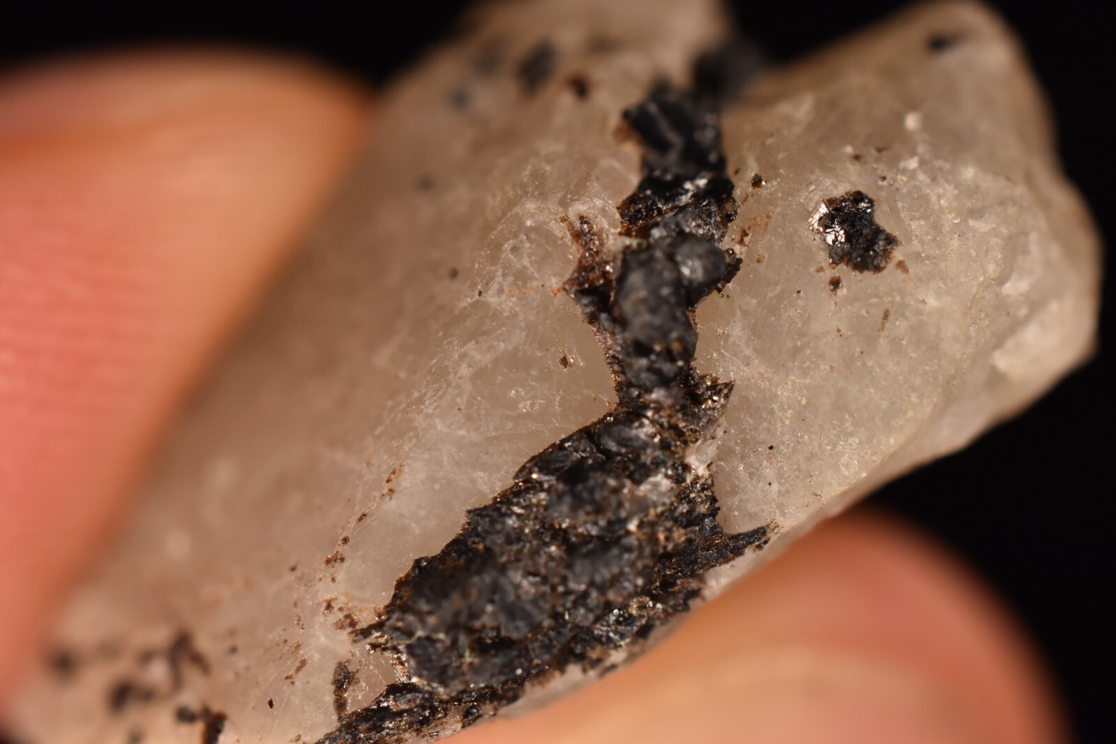 *AUSTRALIAN* CASSITERITE In QUARTZ 2.8cm 7.1g Natural Crystal Tin Yankee Lodes