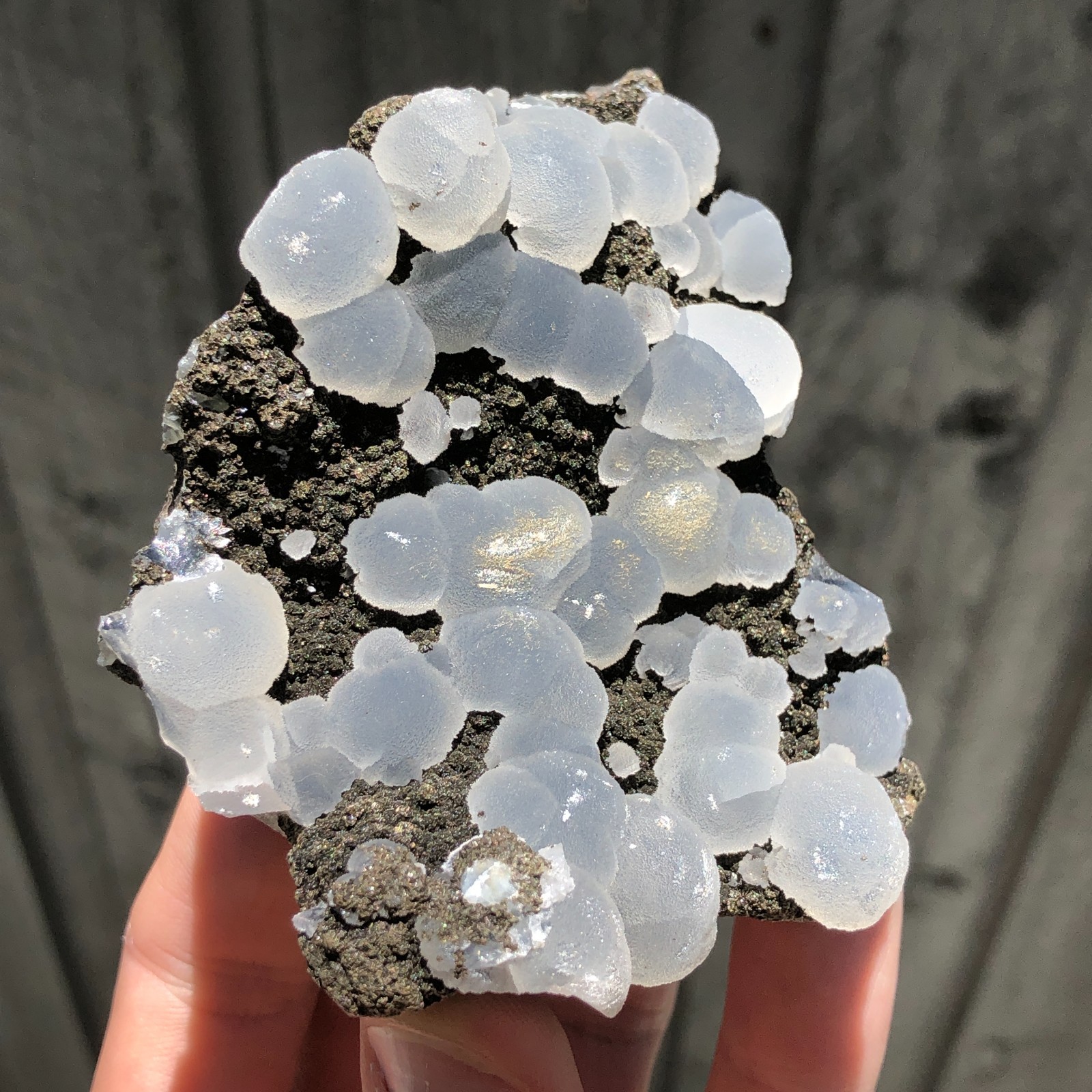8.2cm Frosted Botryoidal Chalcedony Crystals on Matrix from India