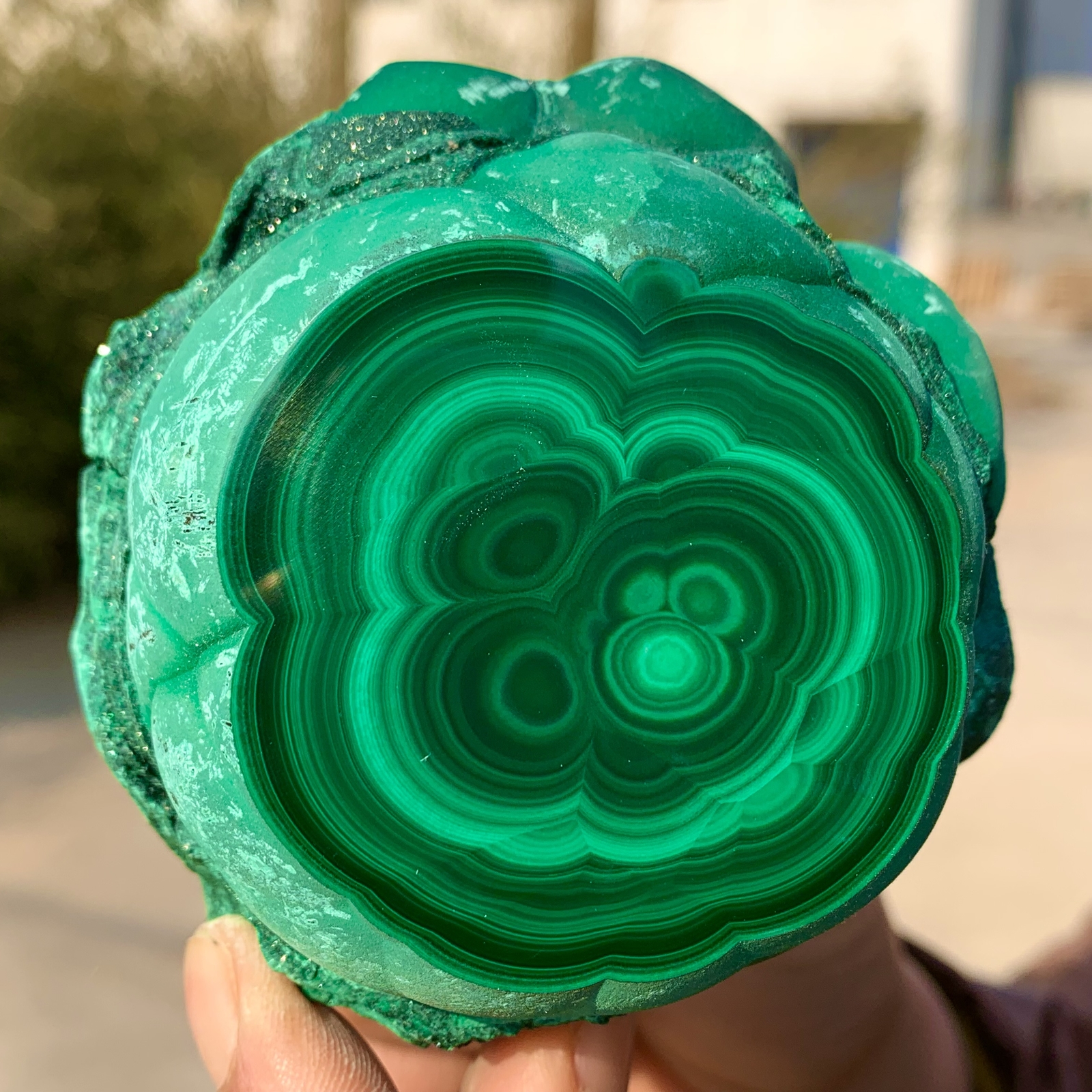 1.39LB Natural glossy Malachite transparent cluster rough mineral sample