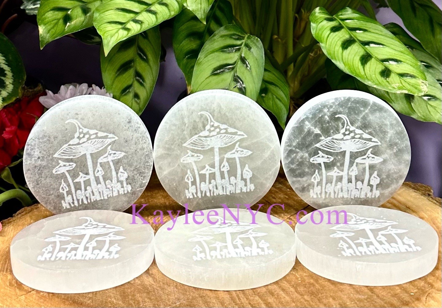 Wholesale Lot 6 PCs Natural Selenite Aka Satin Spar Mushroom charging Plate 10cm