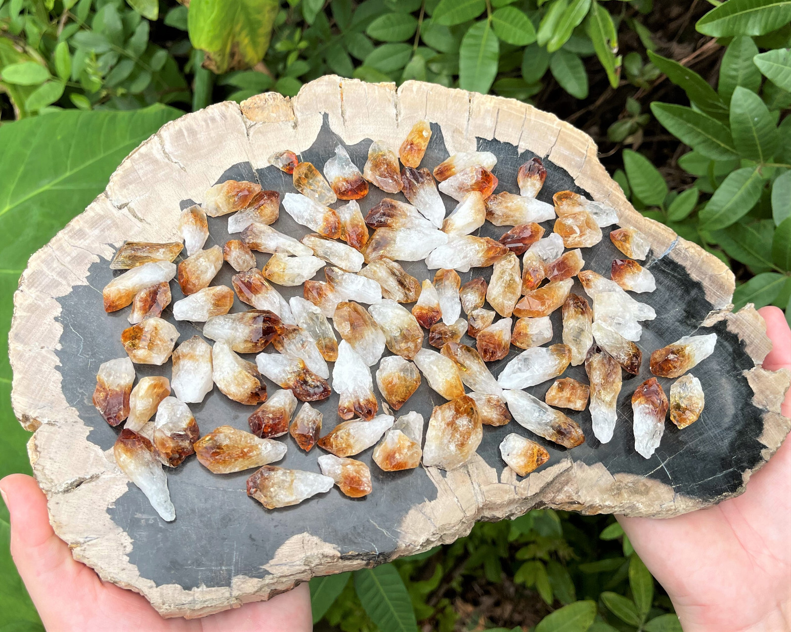 Citrine Crystal Points Wholesale Lots ( ‘A’ Grade Crystals, Citrine Points)