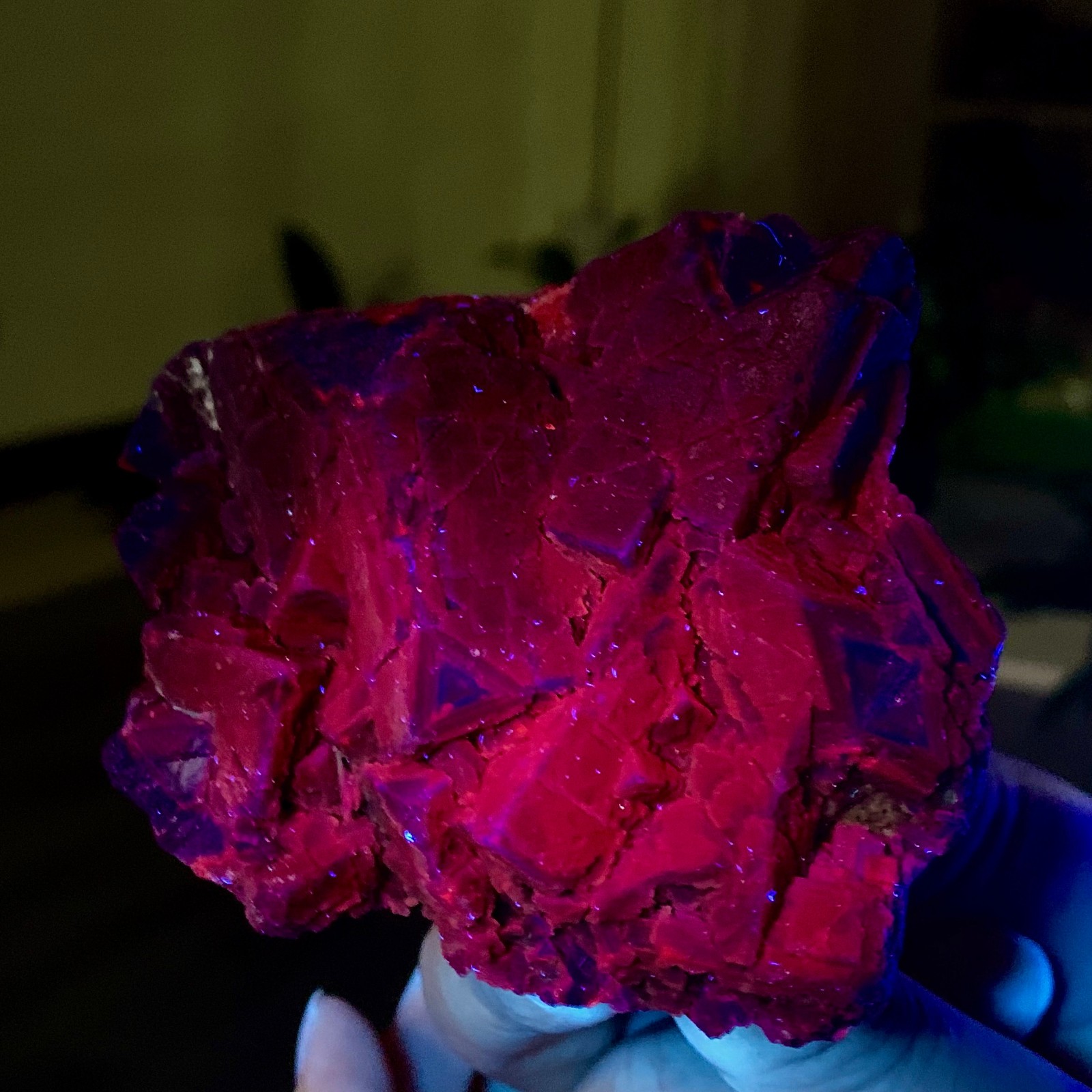 319G Natural black rose fluorescent cube fluorite specimen glow under UV light