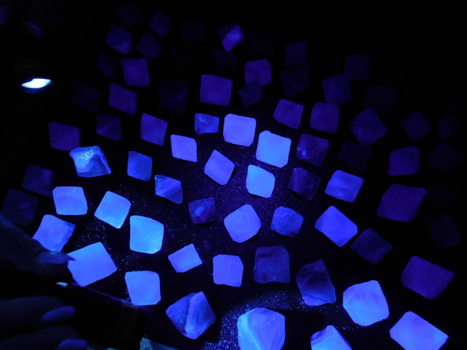 Over One Pound! or 500 Grams! Fluorescent FLUORITE Octahedron Crystals