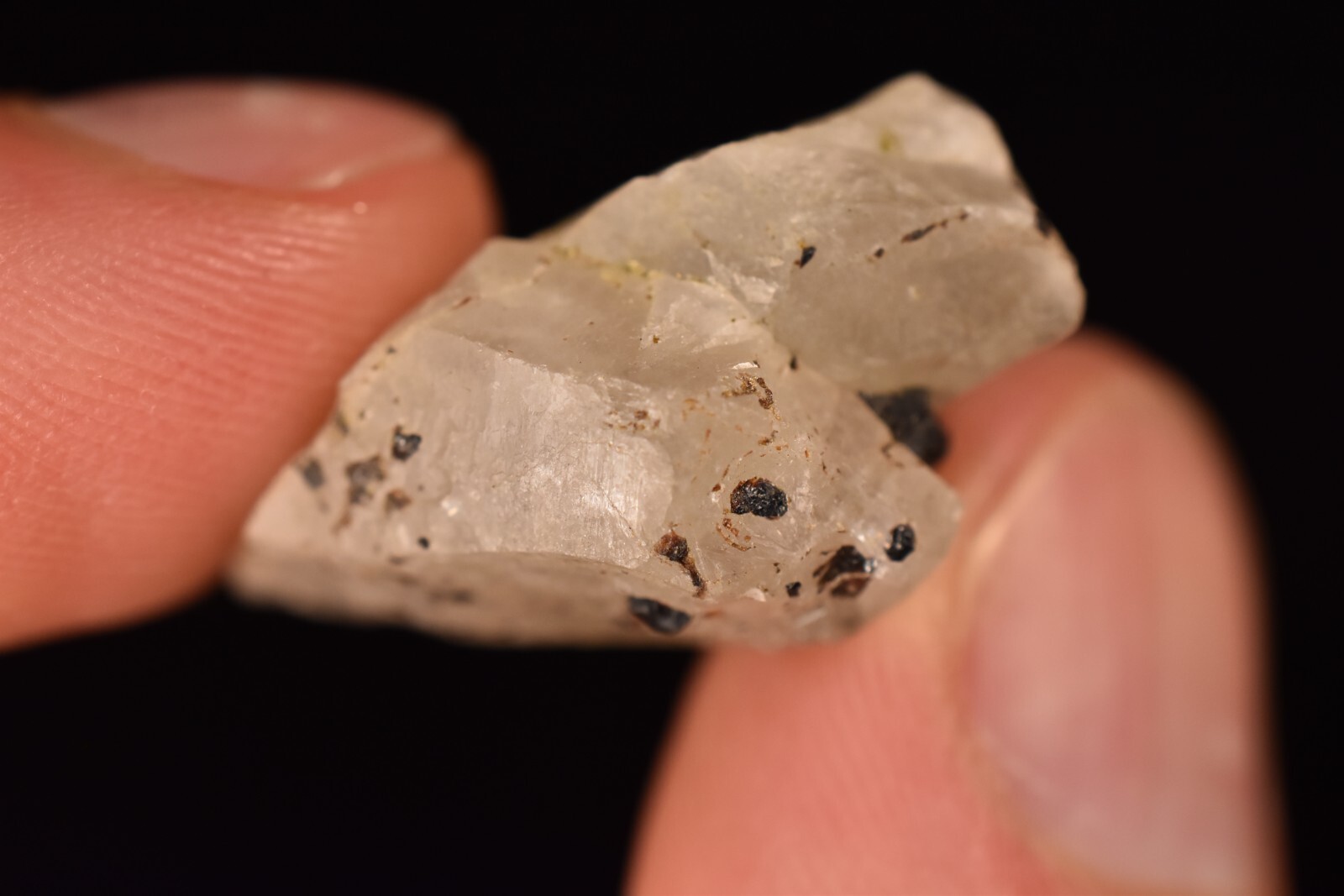 *AUSTRALIAN* CASSITERITE In QUARTZ 2.8cm 7.1g Natural Crystal Tin Yankee Lodes