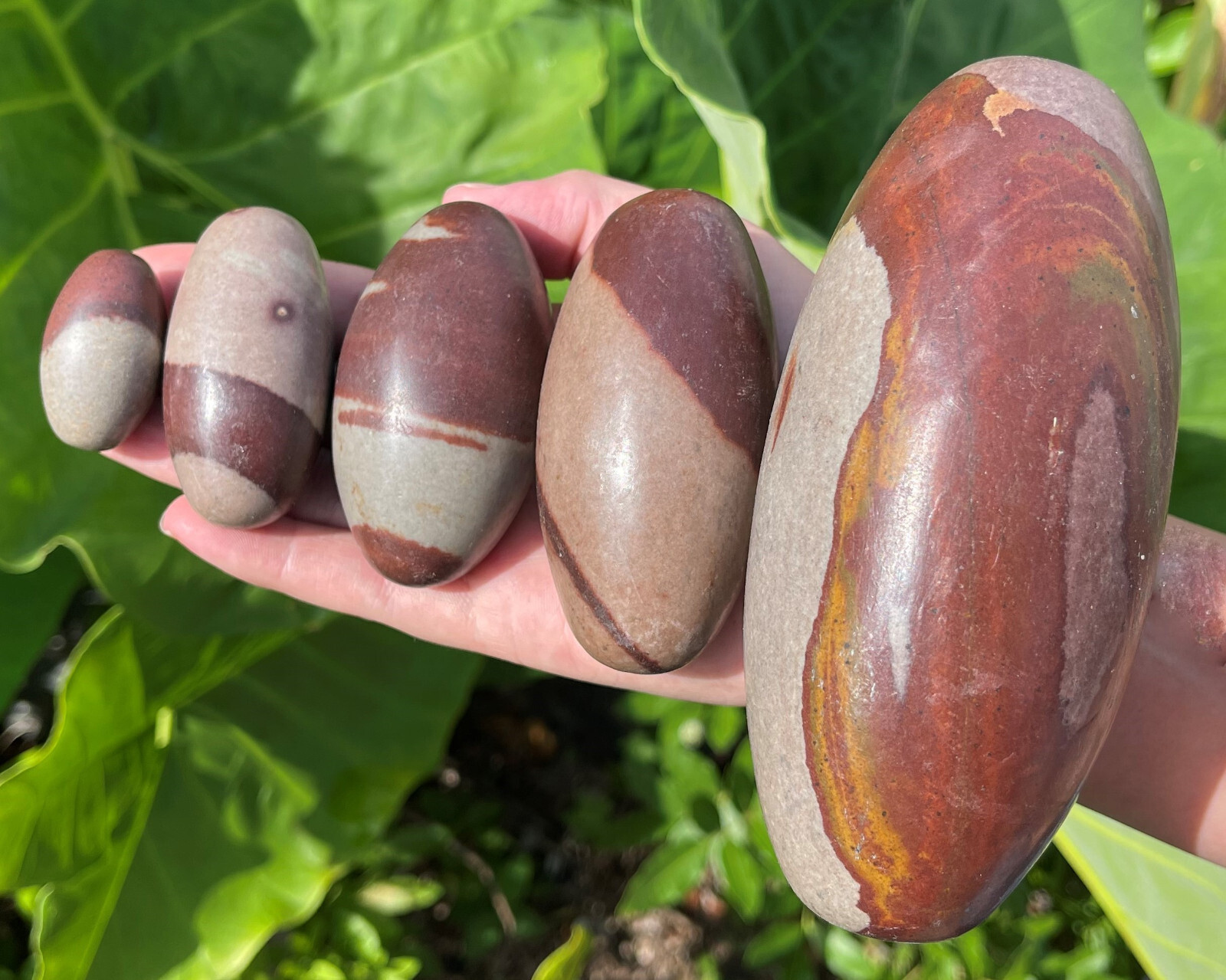 Shiva Lingam Stones 1-6″ Sacred Stones From Narmada River India, Healing Crystal