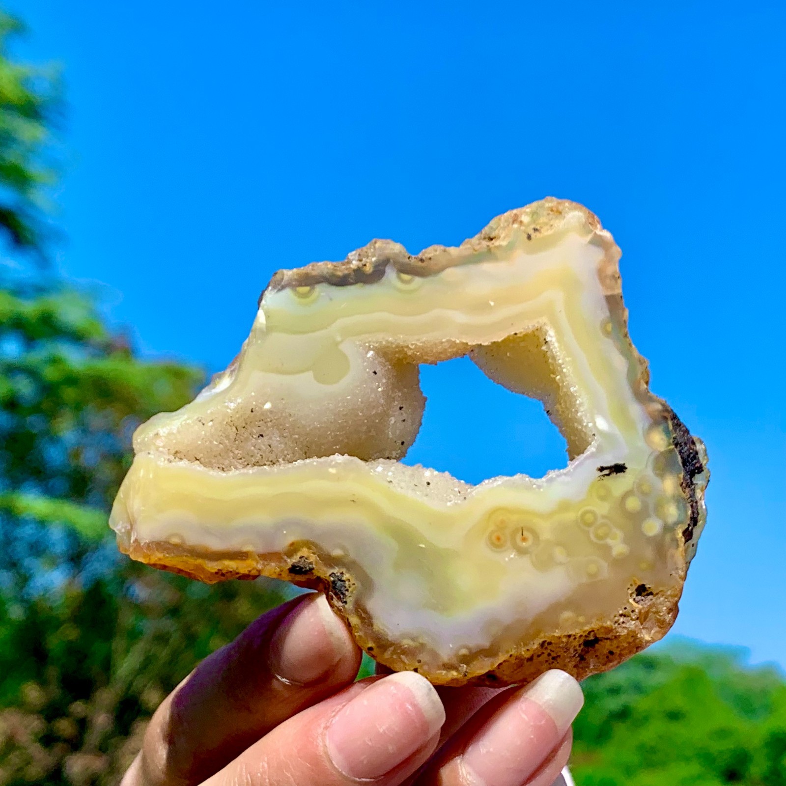 94G AAA Grade Natural Beautiful Yellow Agate Geode Druzy Slice Extra Large Gem